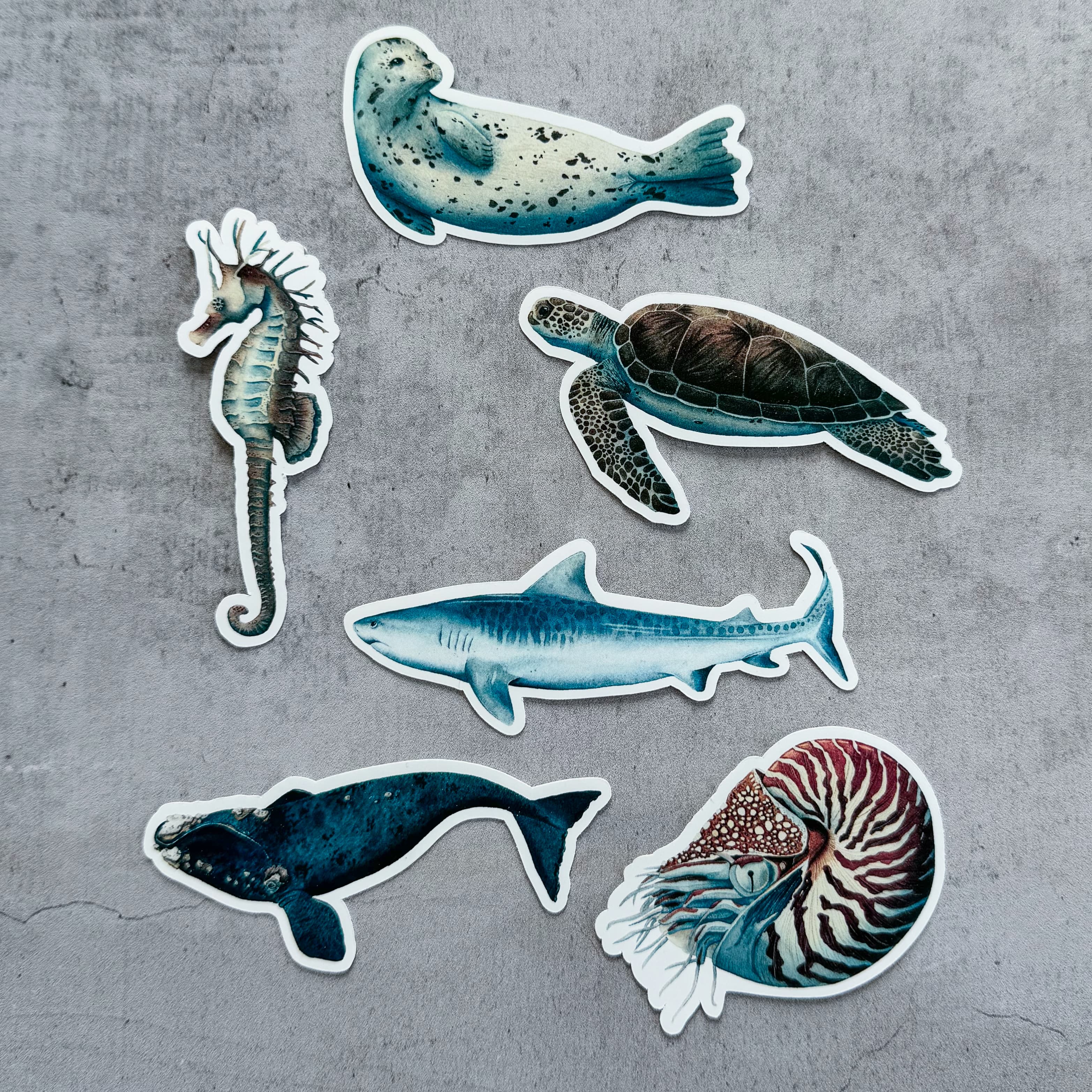 Pack de 6 stickers - Ecume