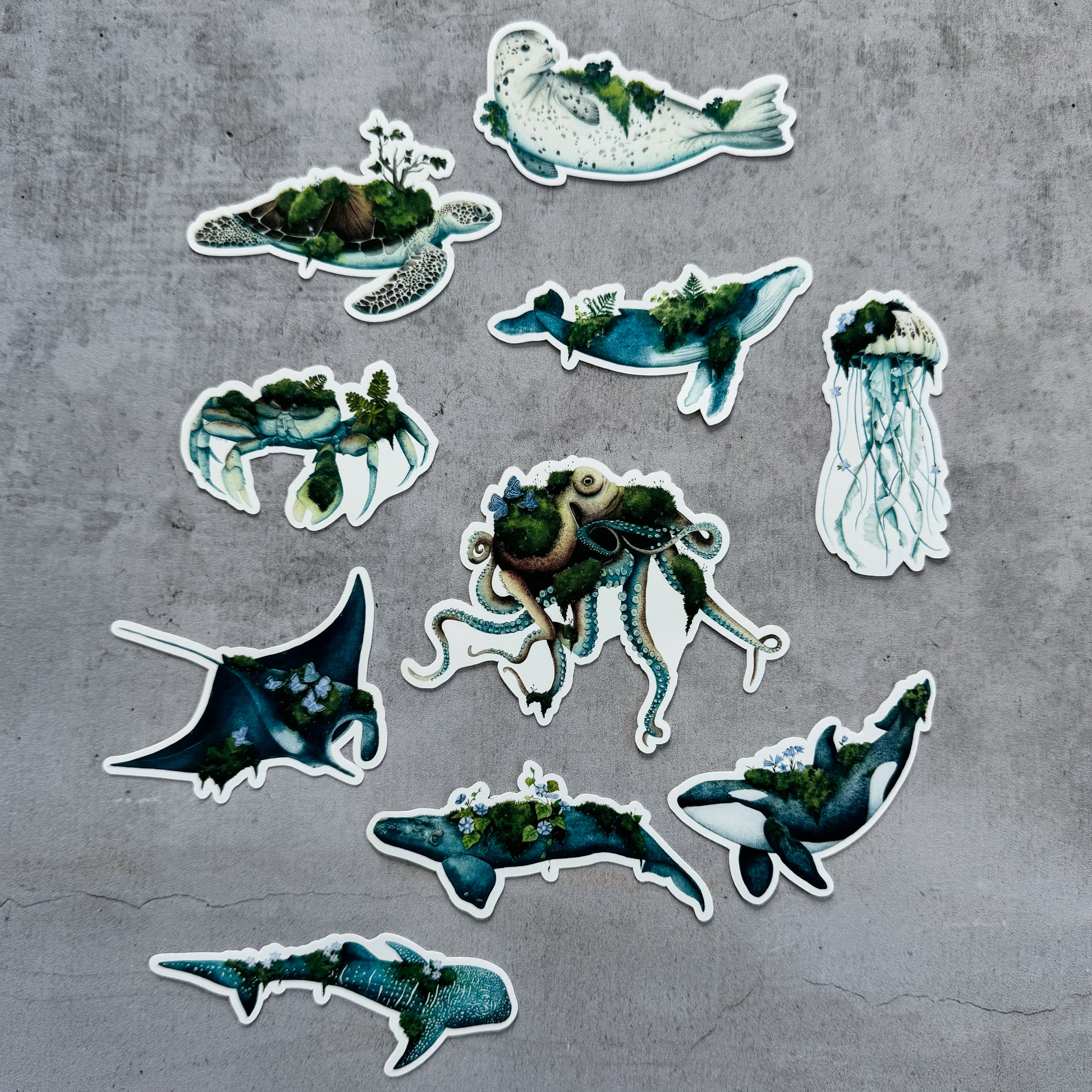 Pack de 10 stickers - Forêt Marine