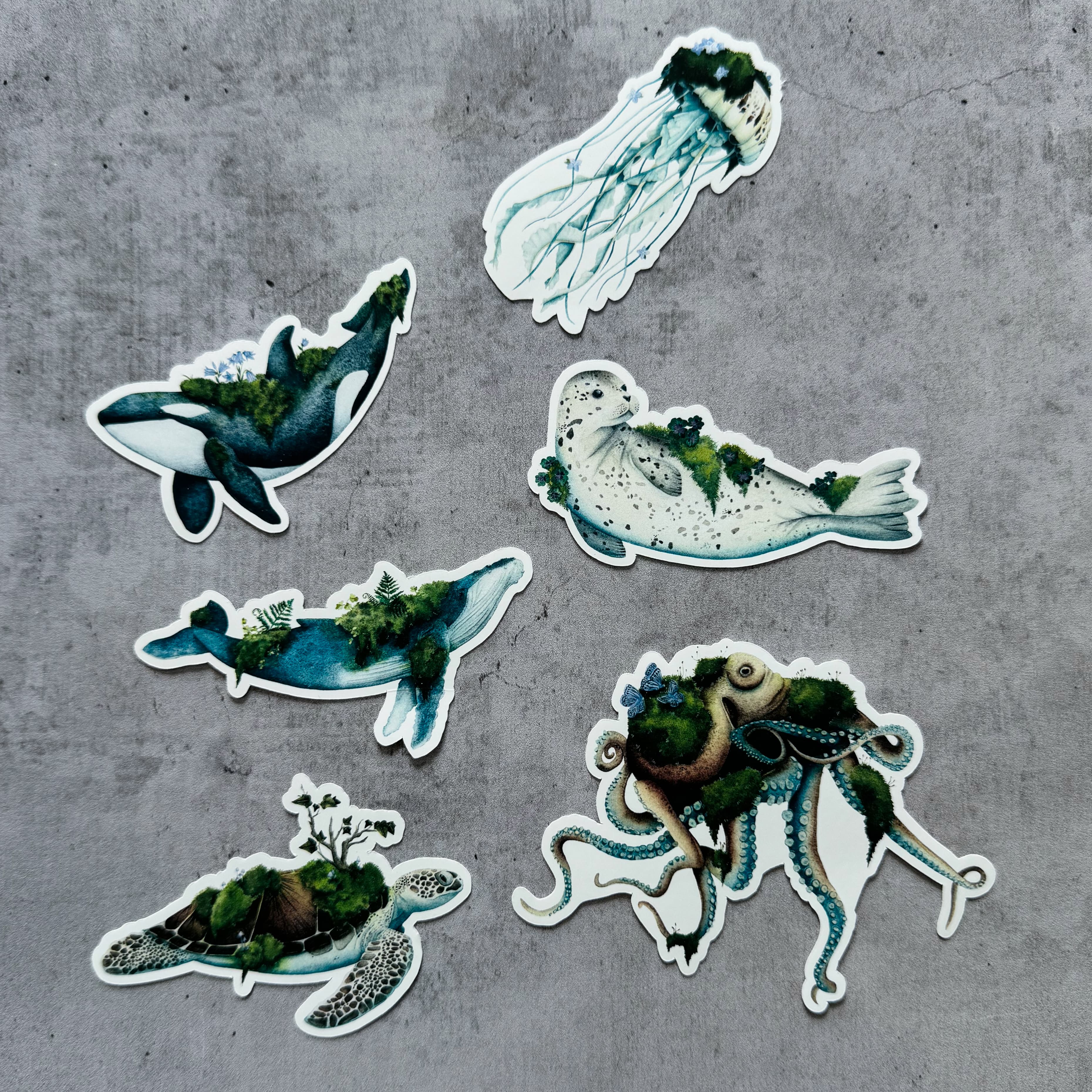 Pack de 6 stickers - Bourgeon Marin