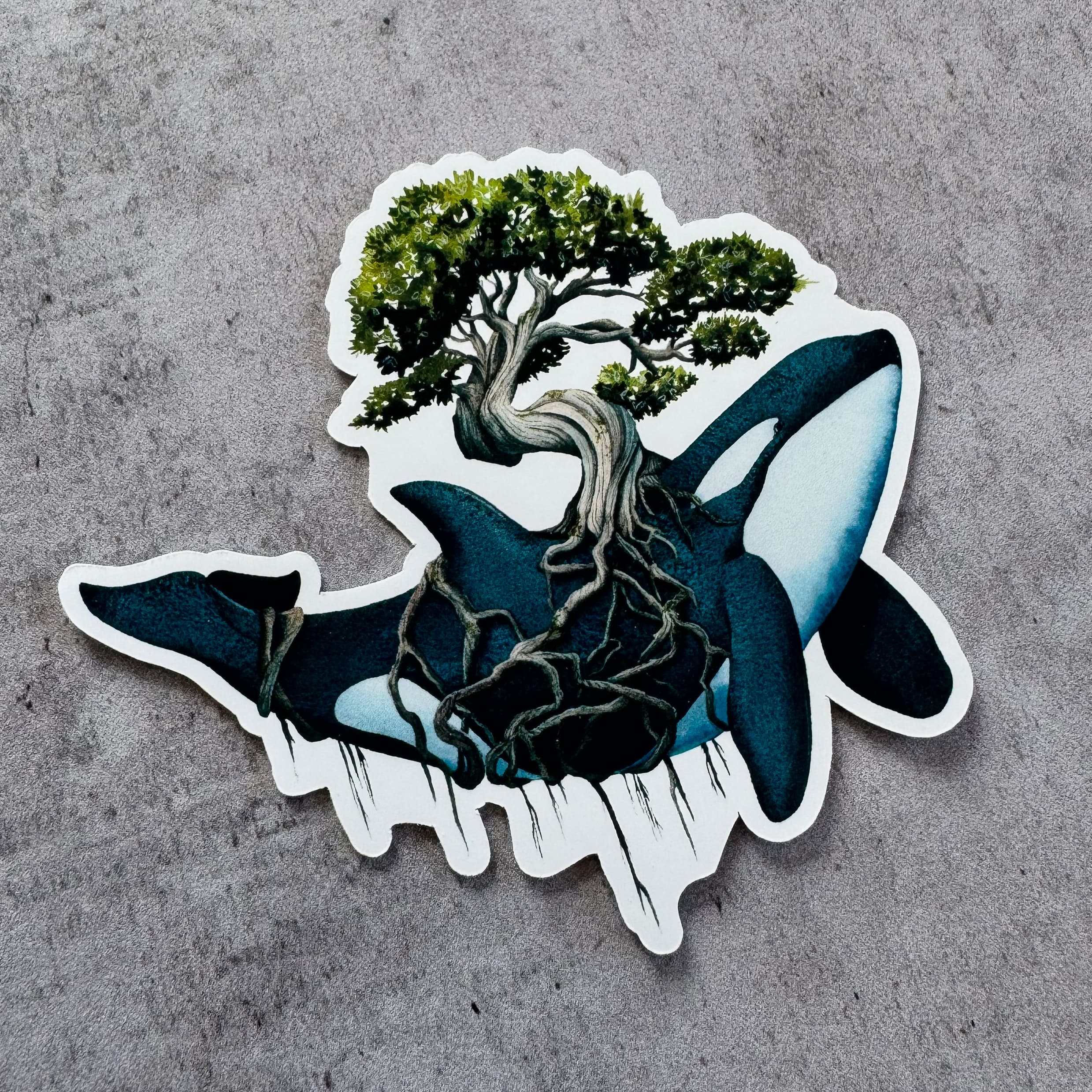 Sticker - Orque Sylvestre - finition mate