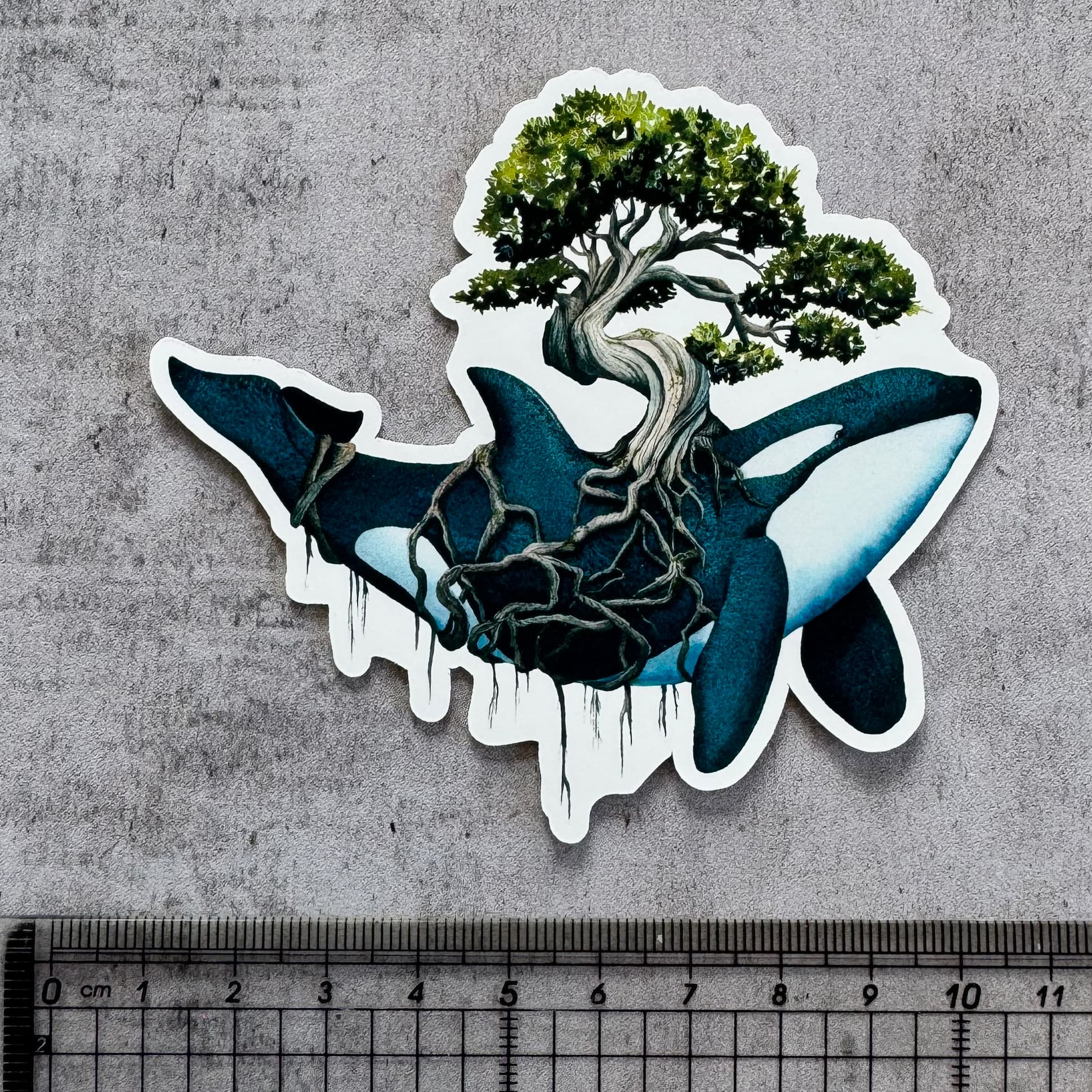 Sticker — Wald-Orca — matte Ausführung — Foto 3