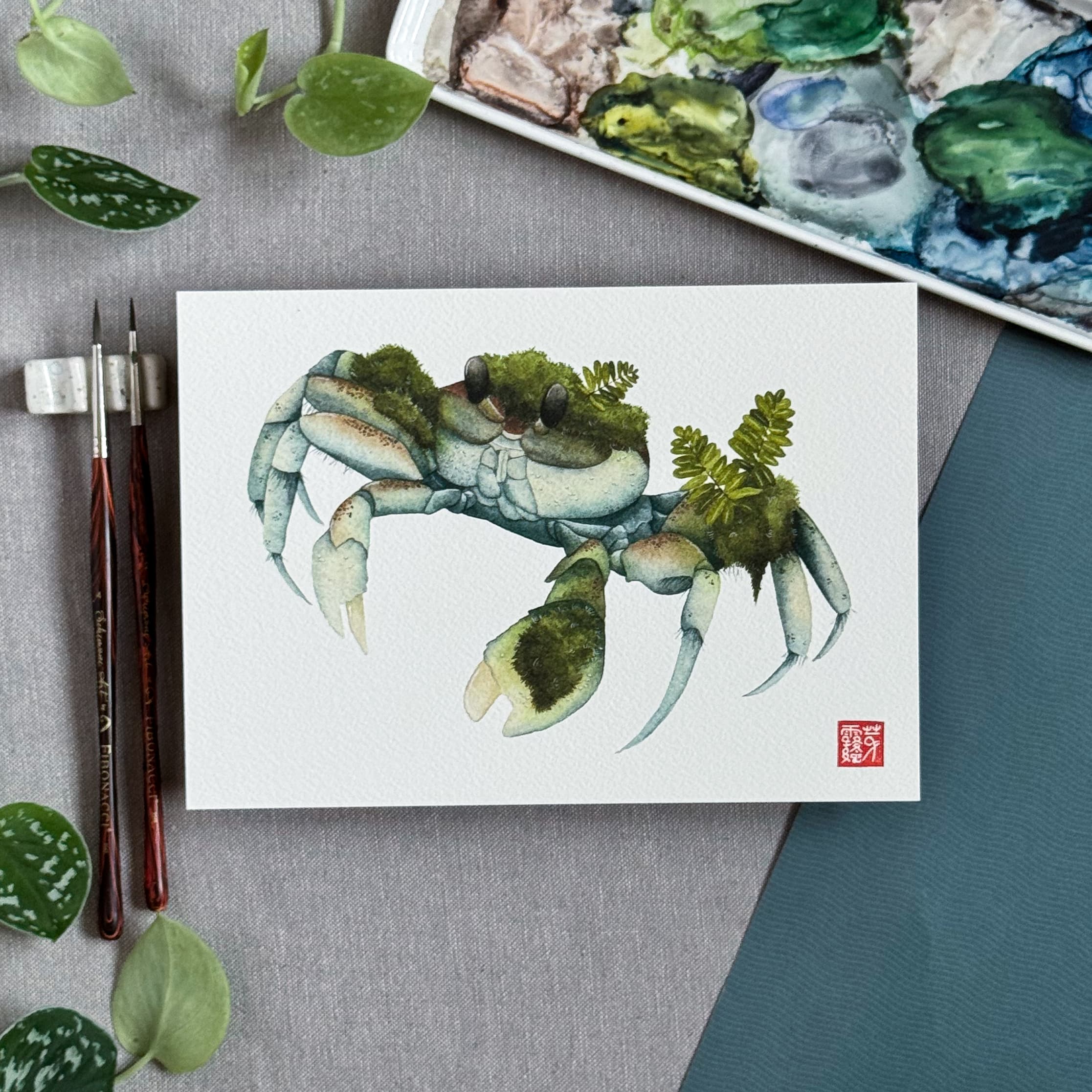 Le Crabe muscicole (Moss Crab) — Fine Art Print — photo 2