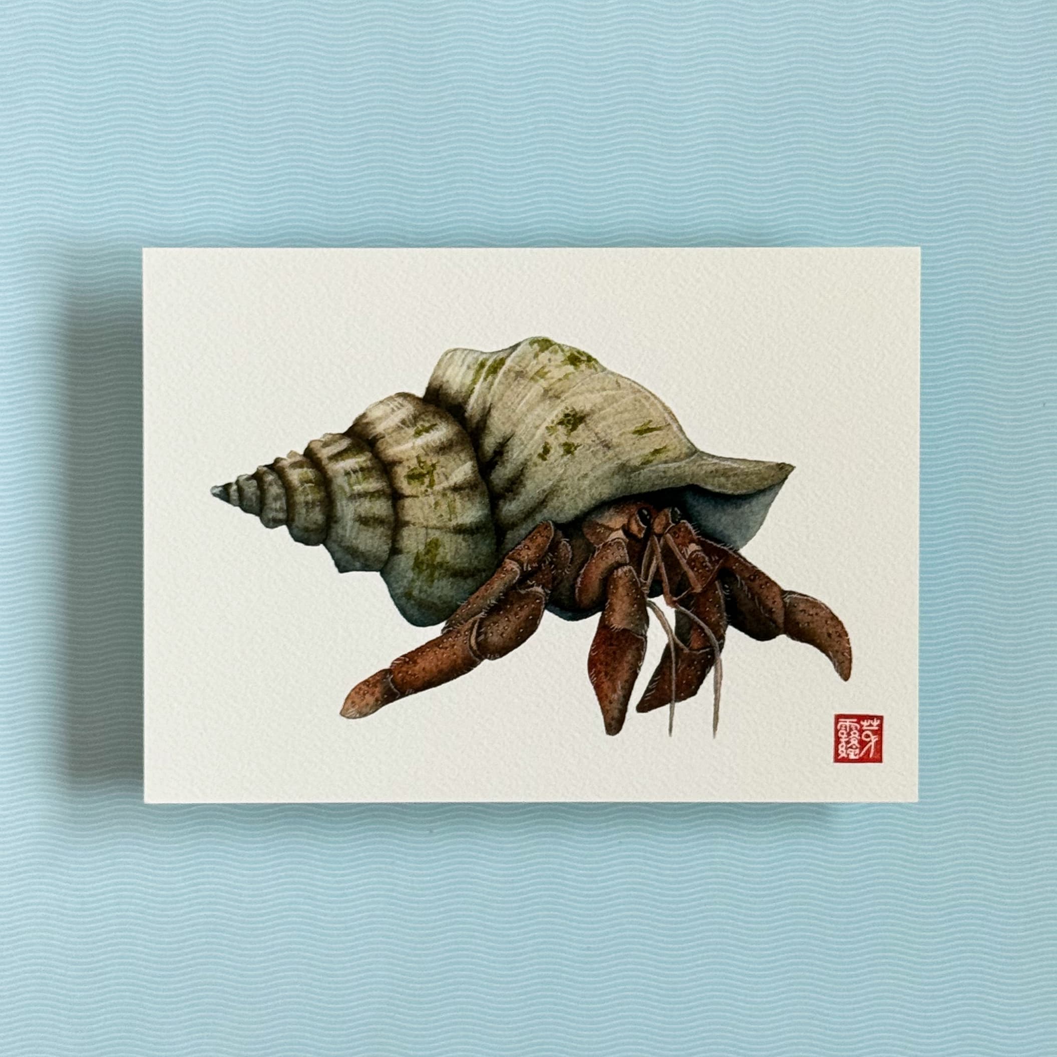 Le Bernard l'hermite - Reproduction Fine Art — photo 1