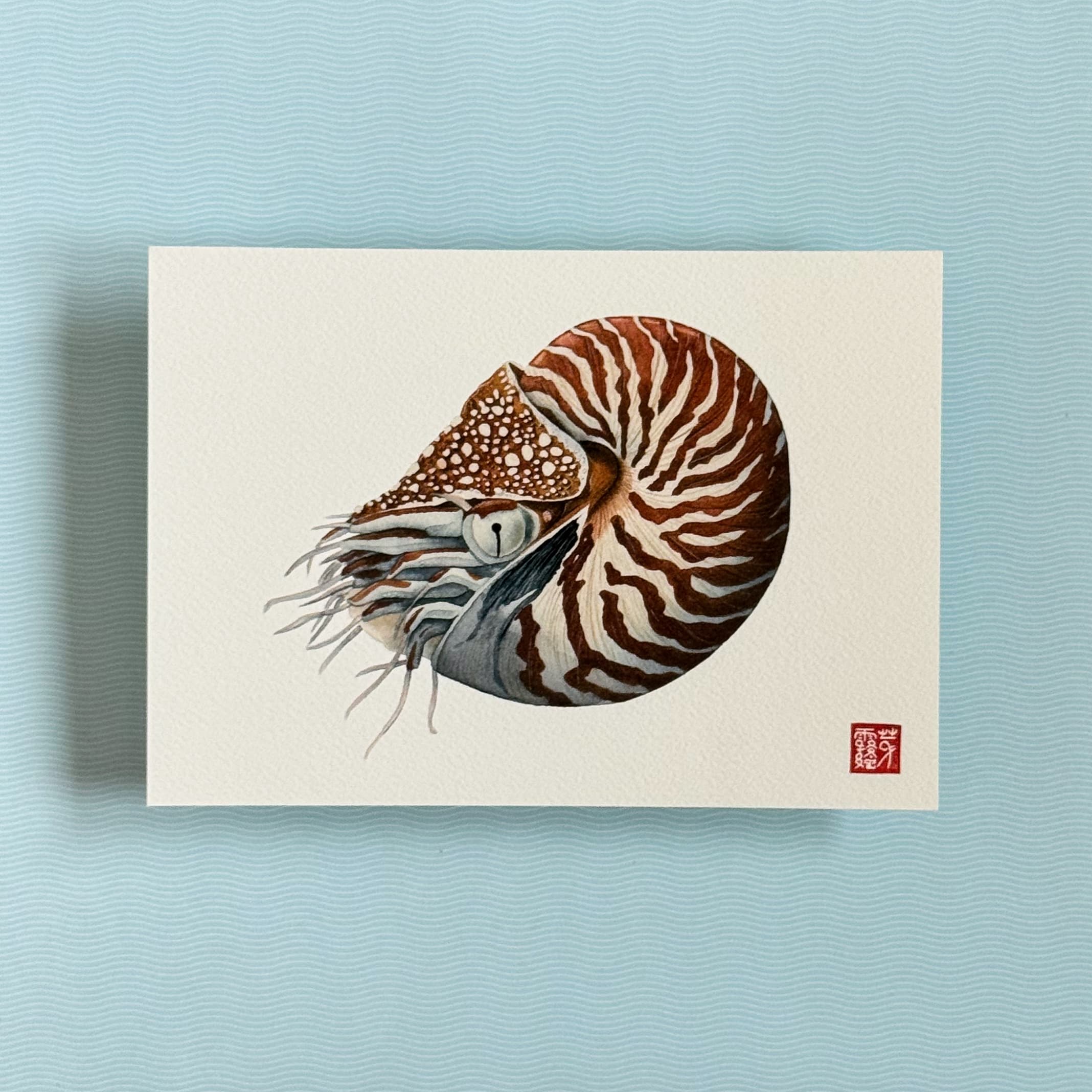 Le Nautile (The Nautilus) — Fine Art Print