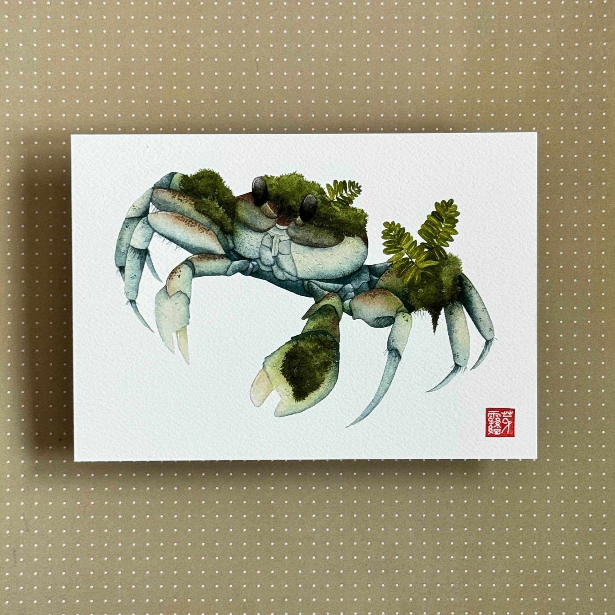 Le Crabe muscicole (Moss Crab) — Fine Art Print — photo 1