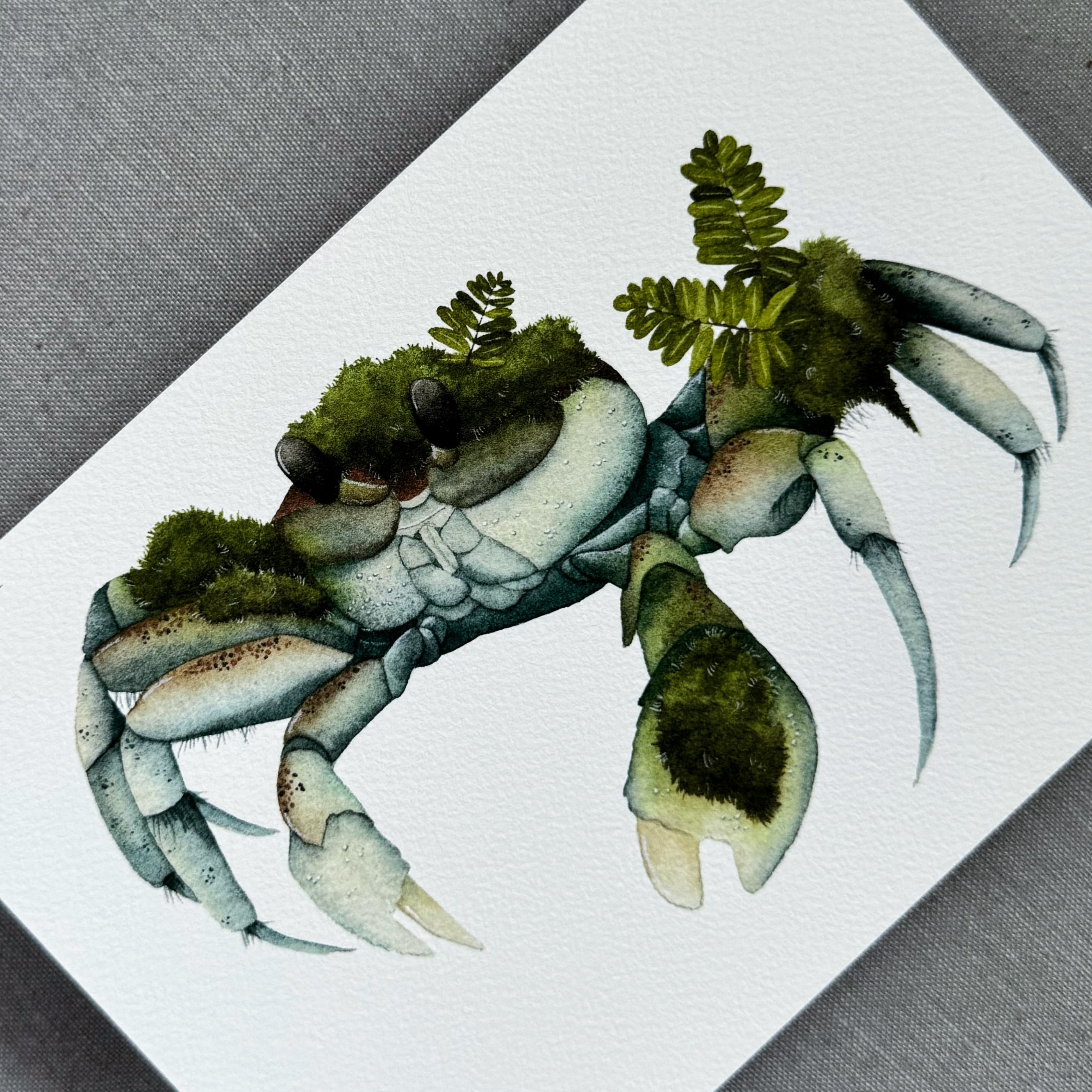 Le Crabe muscicole (Moss Crab) — Fine Art Print — photo 3