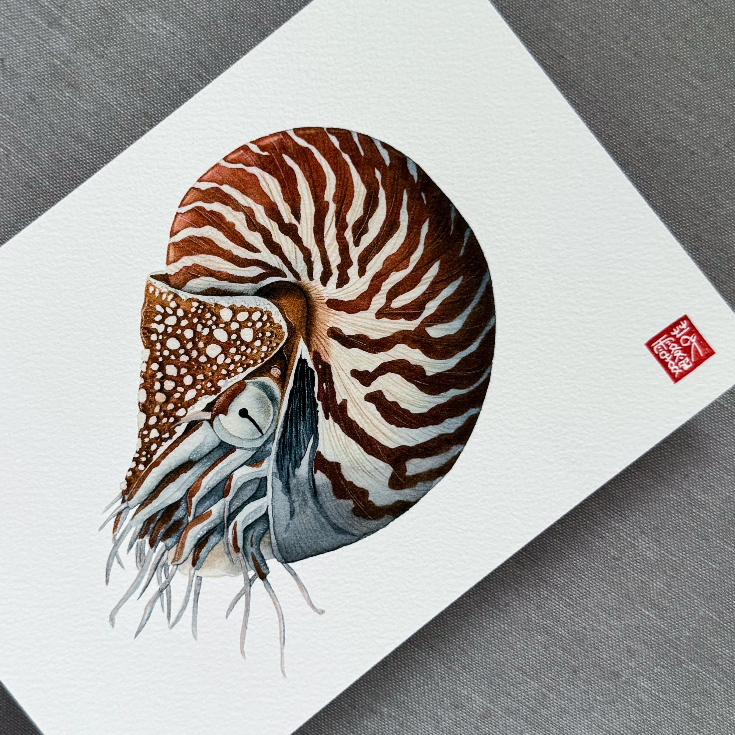 Le Nautile (The Nautilus) — Fine Art Print — photo 3
