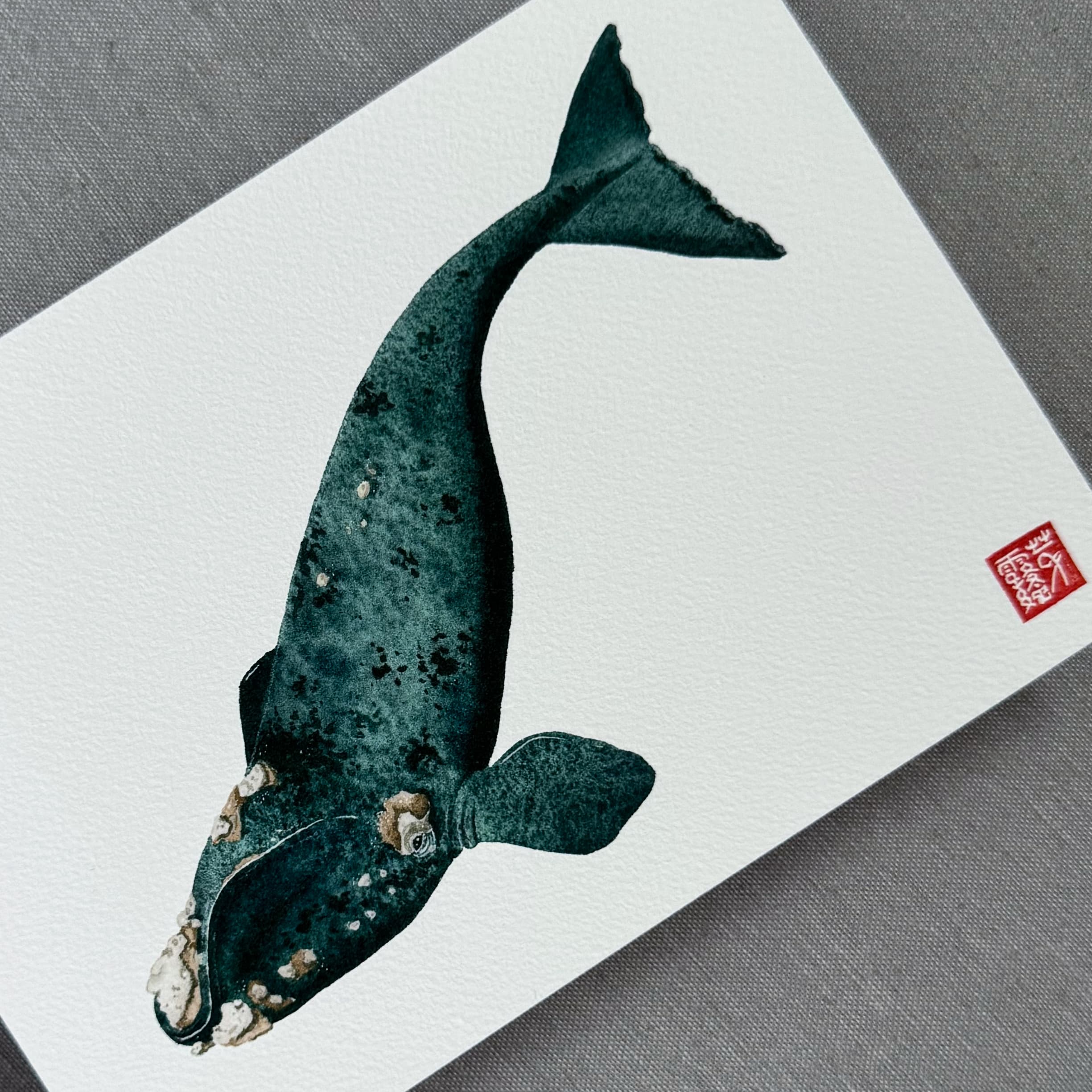 La Baleine australe - Reproduction Fine Art — photo 3