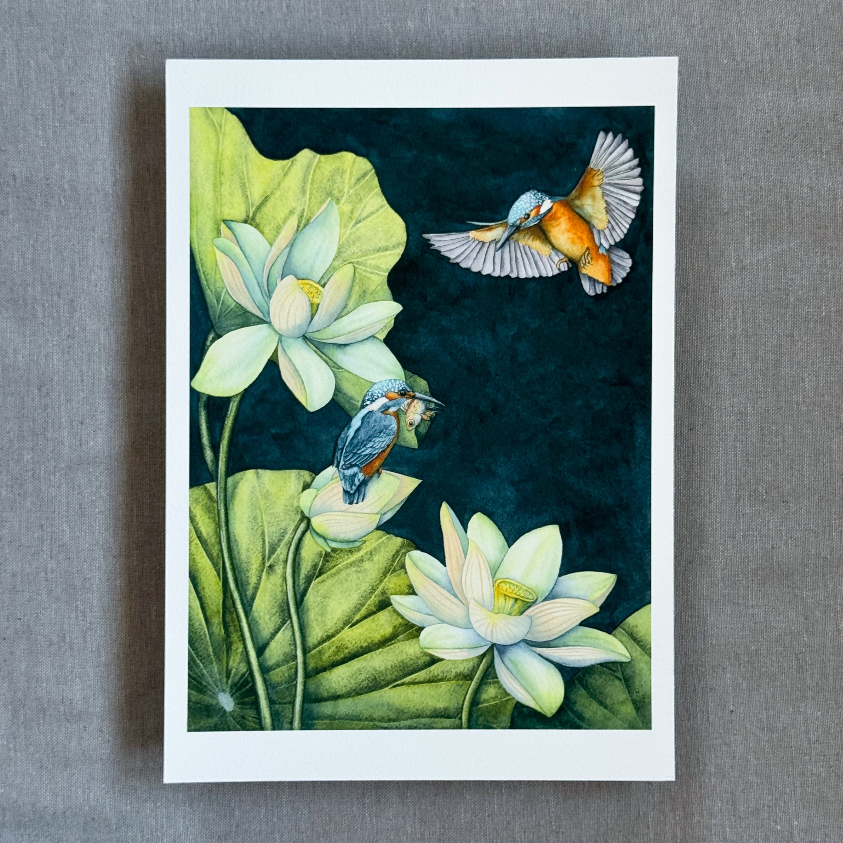 Les Martins-pêcheurs et les lotus (Kingfishers and Lotus) — Fine Art Print — photo 2