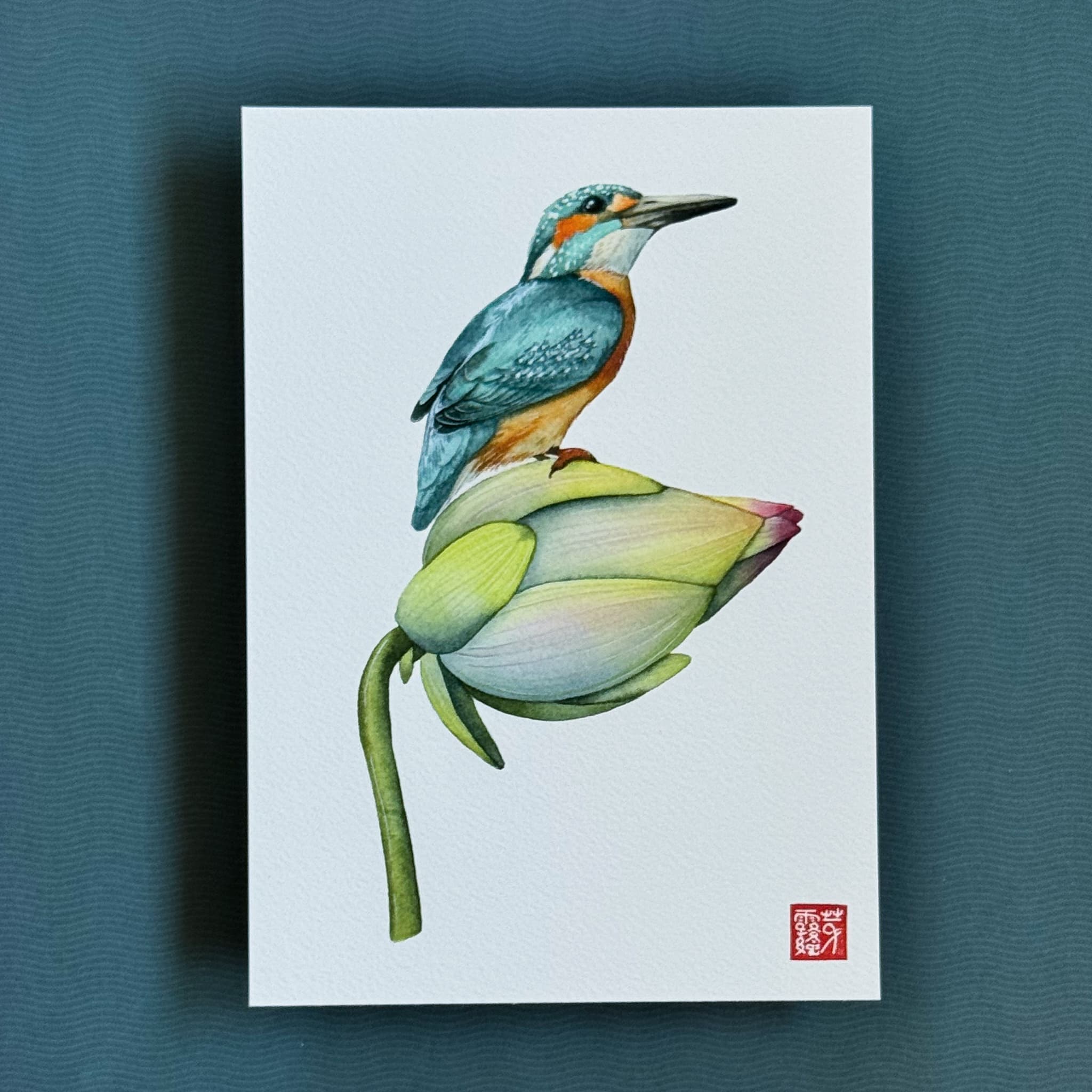 Le Martin-pêcheur (Kingfisher) — Fine Art Print