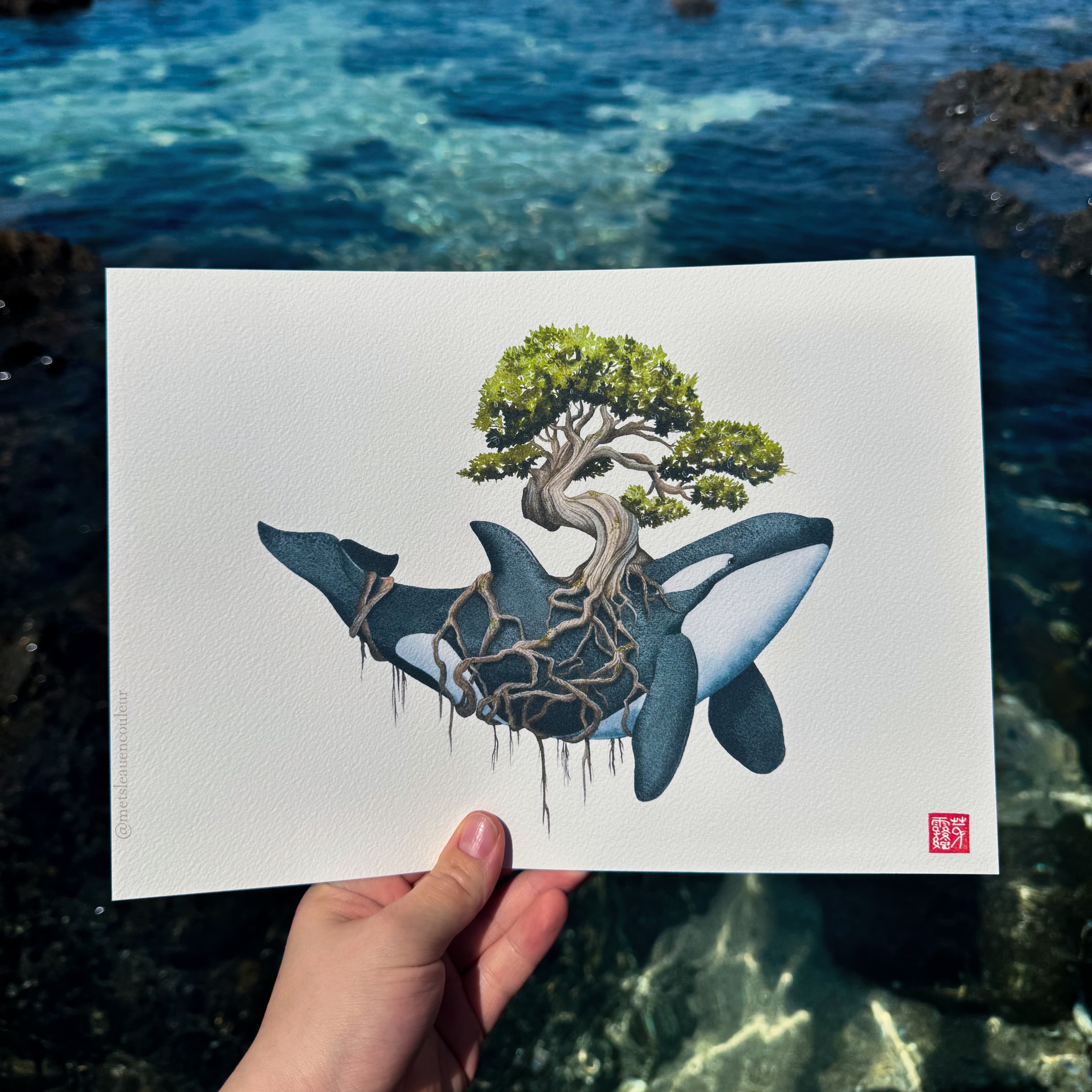 L'Orque sylvestre (Sylvan Orca) — Fine Art Print — photo 1