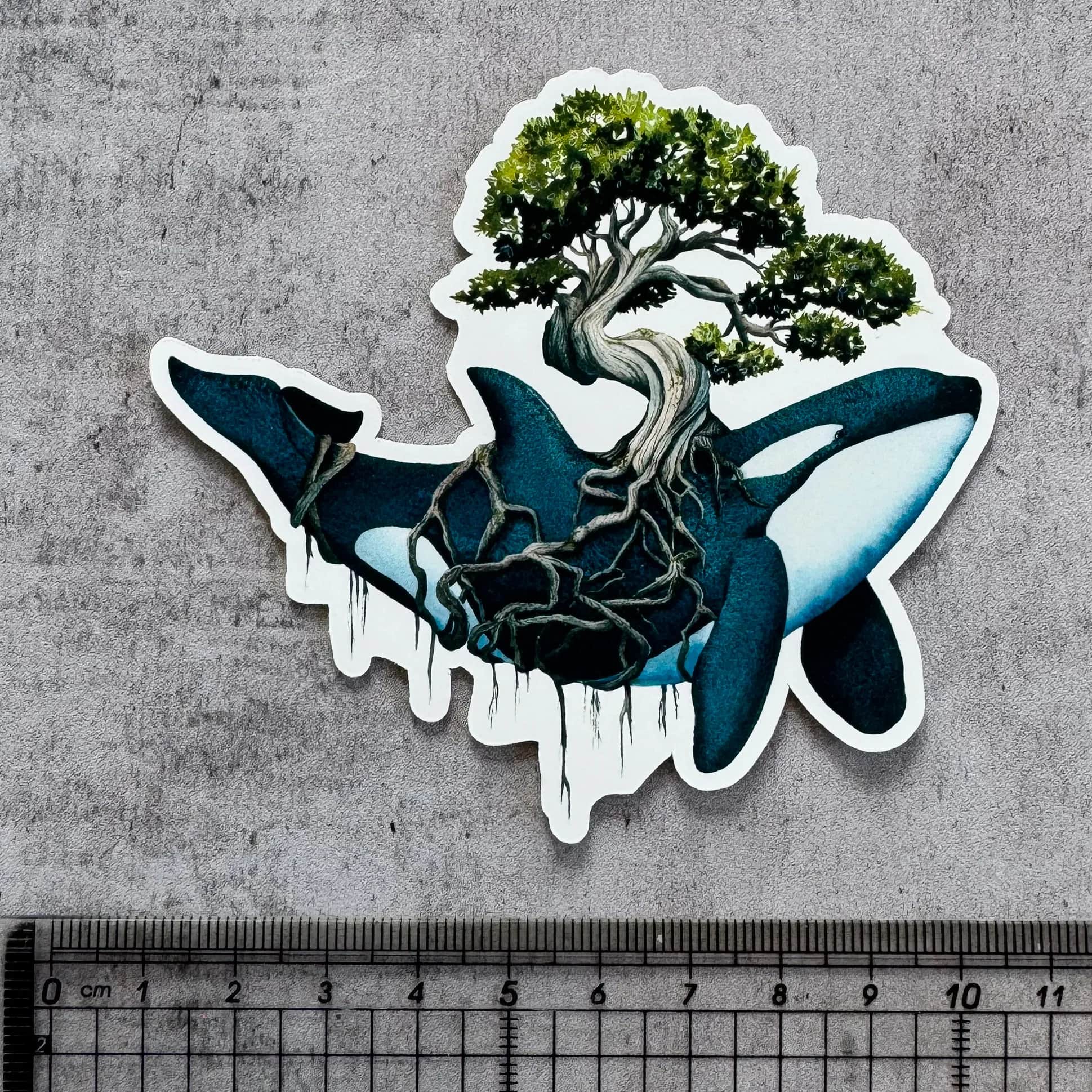 Sticker - Orque Sylvestre - finition mate, foto 3