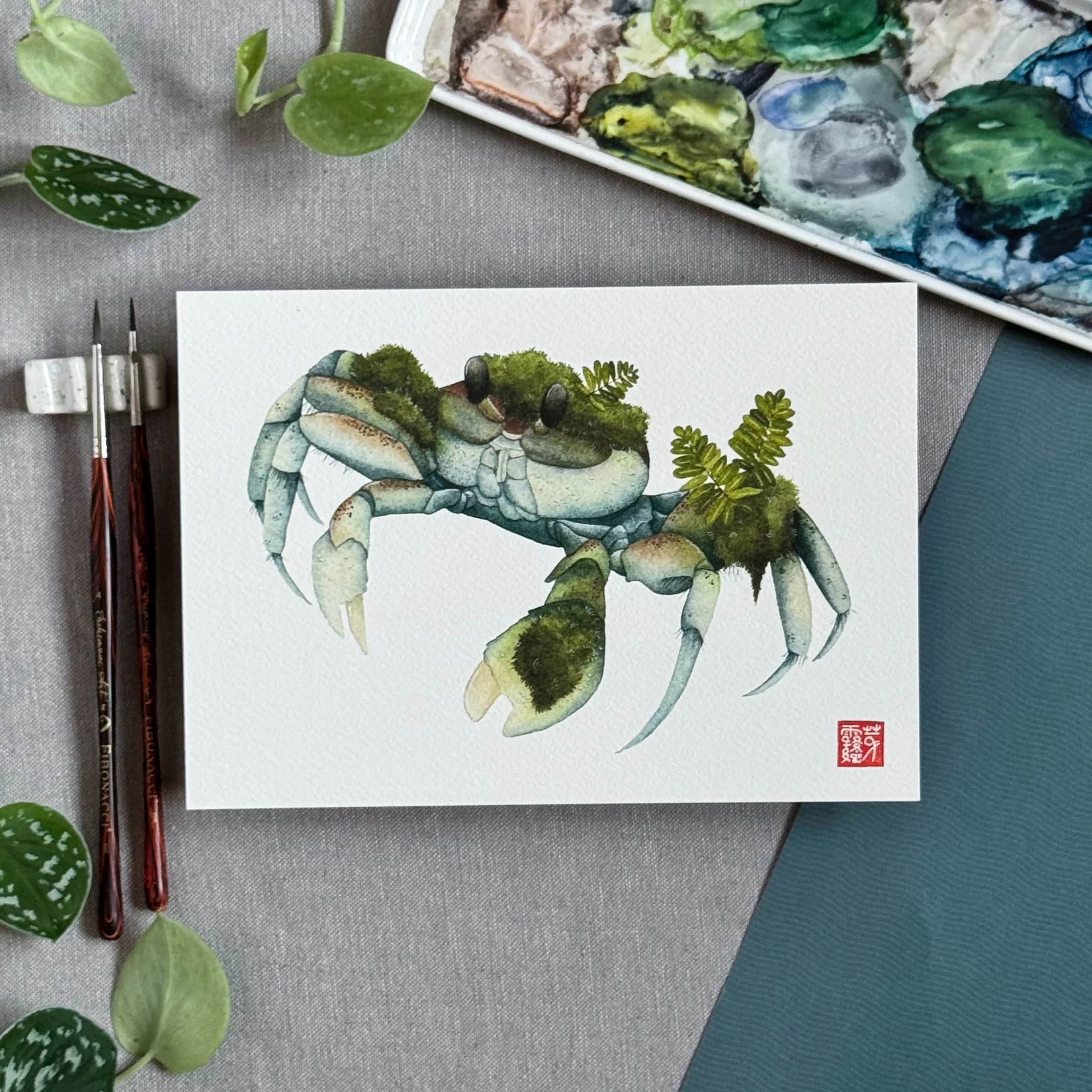 Le Crabe muscicole, foto 2