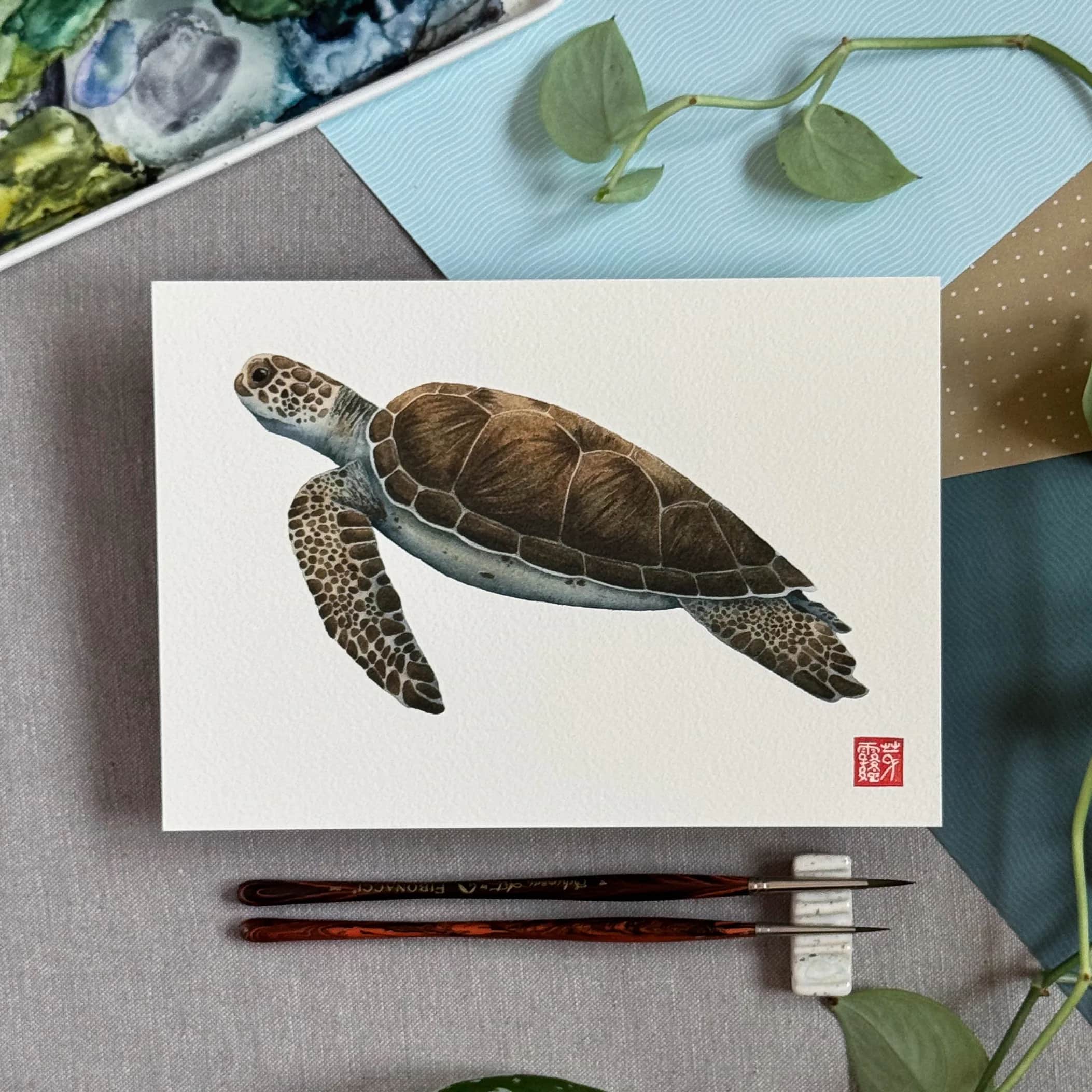 La Tortue verte