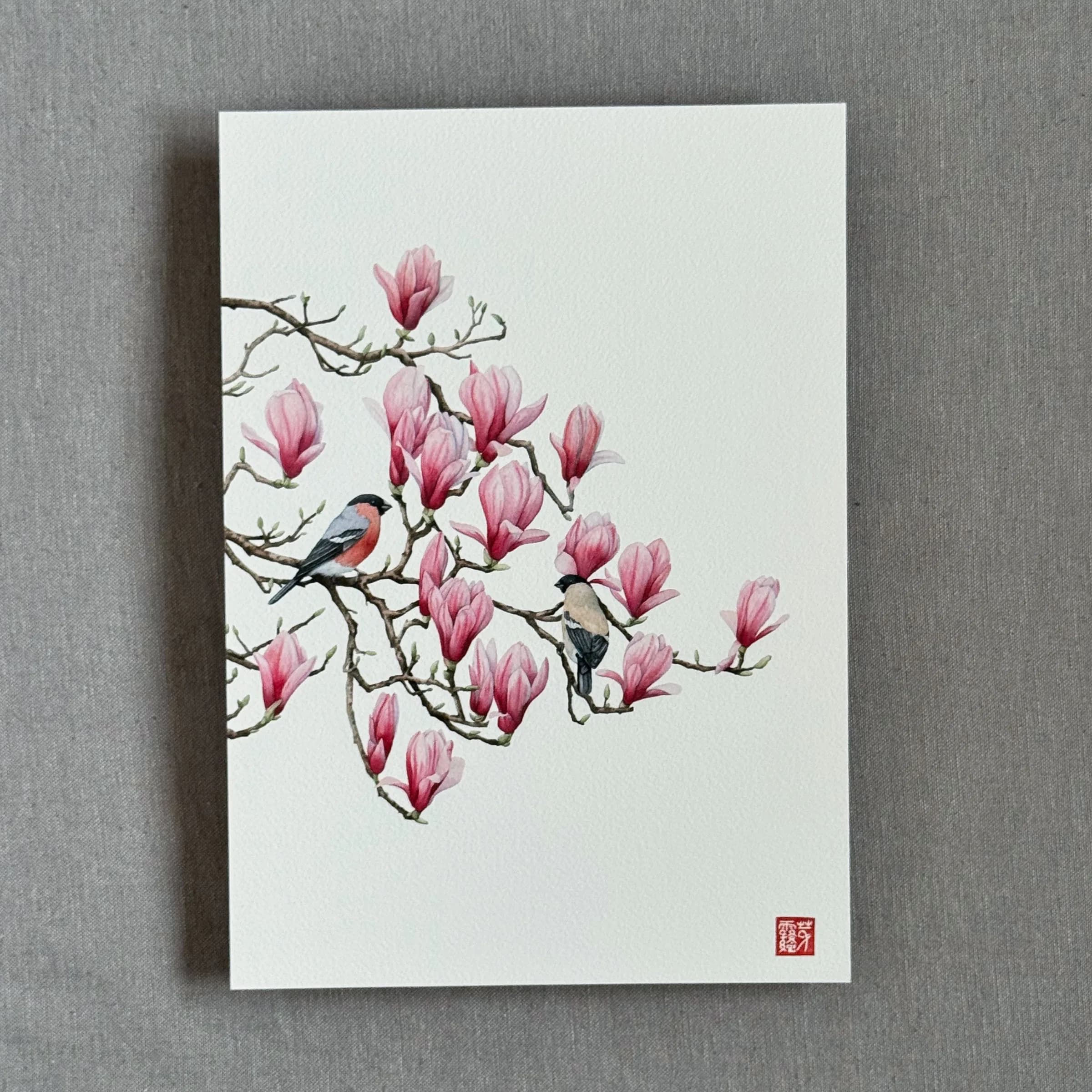 Le Magnolia et les bouvreuils