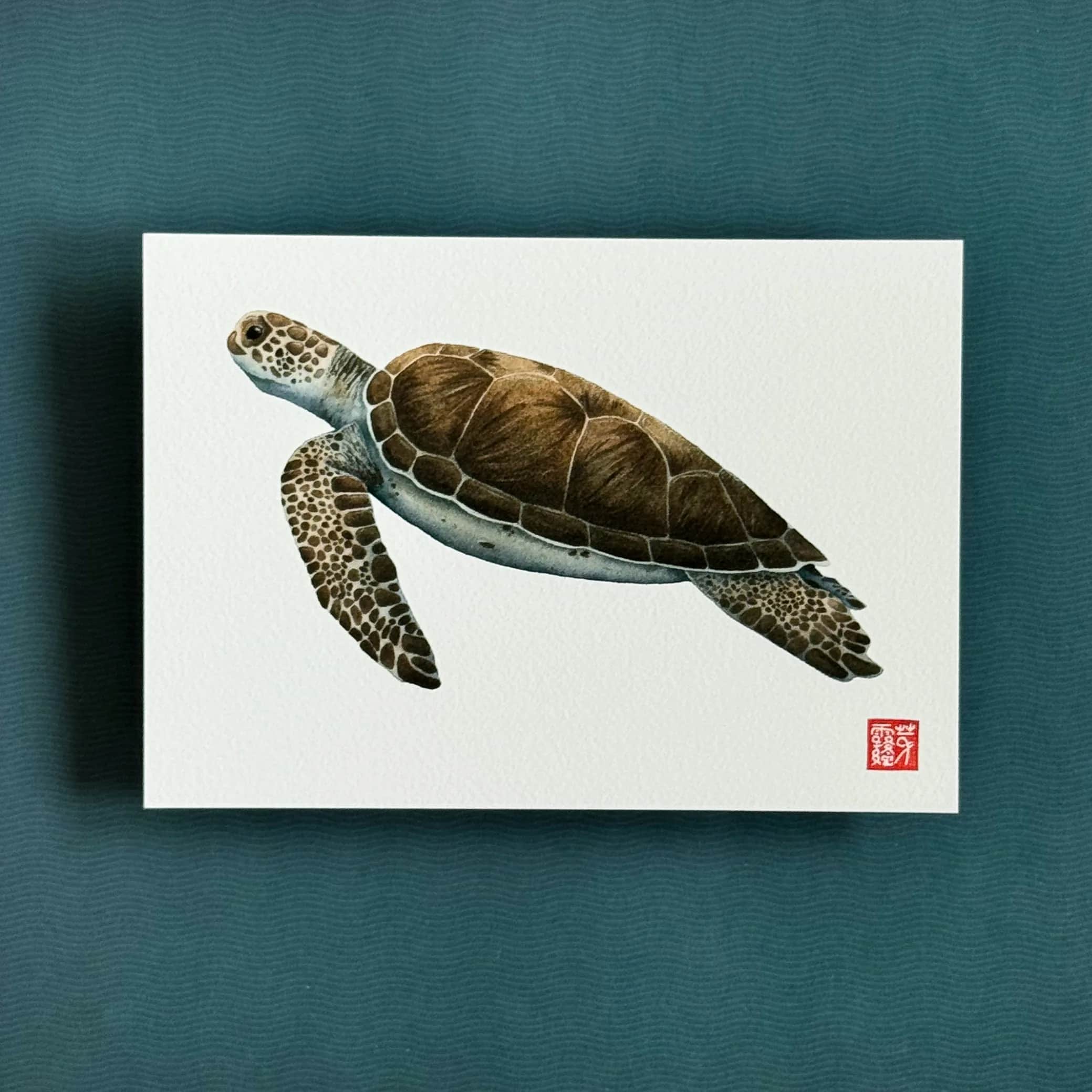 La Tortue verte, foto 2