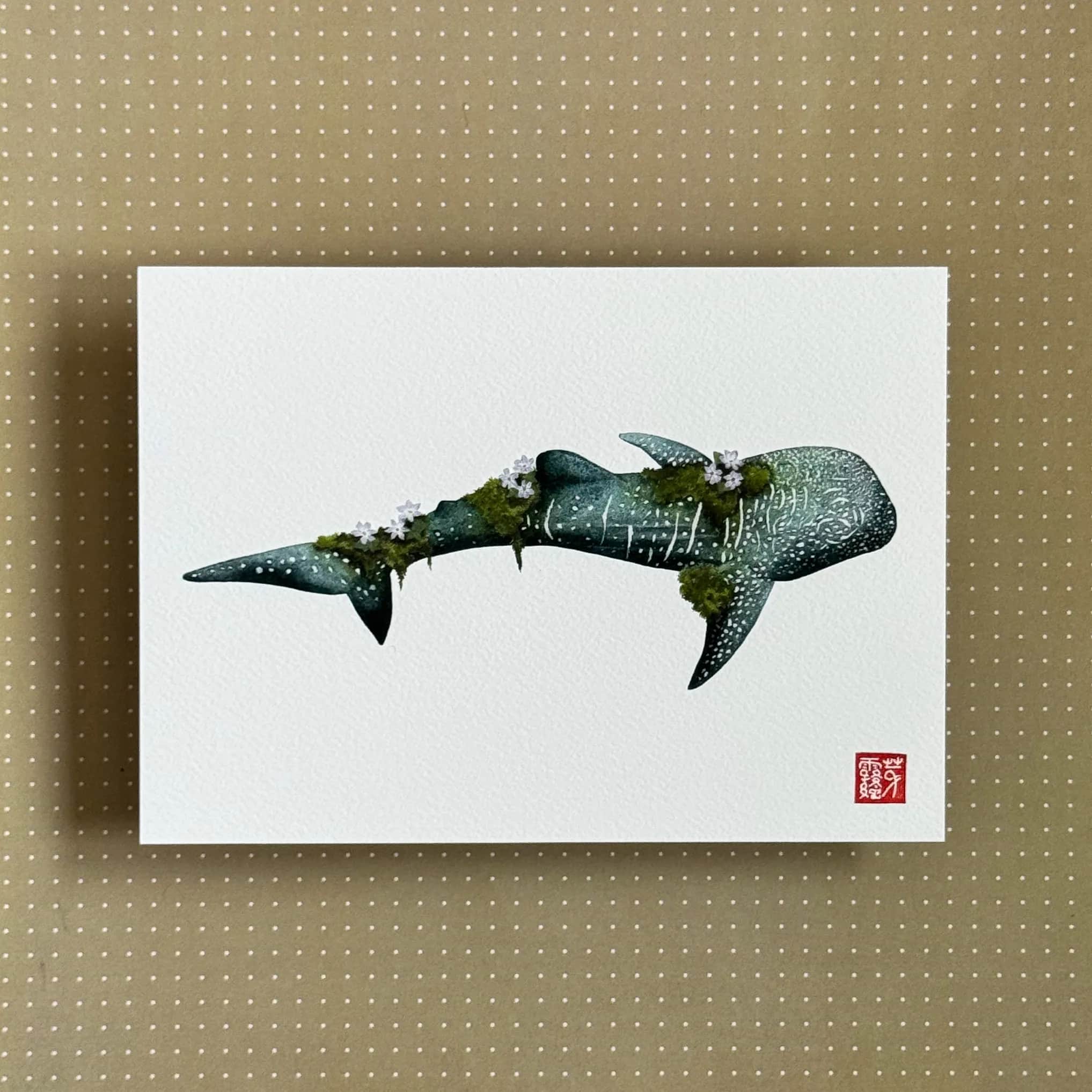 Le Requin-baleine des sous-bois, Foto 2