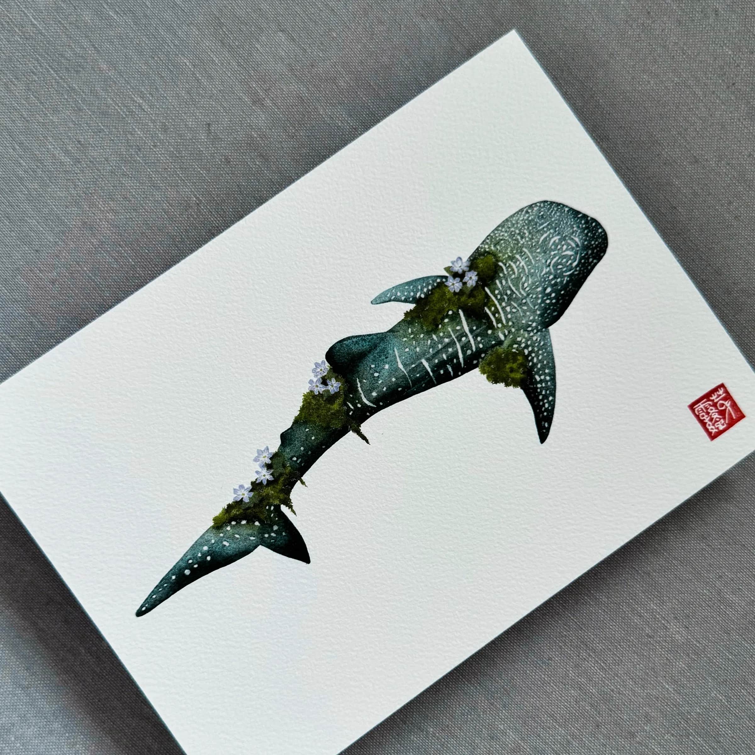 Le Requin-baleine des sous-bois, Foto 3