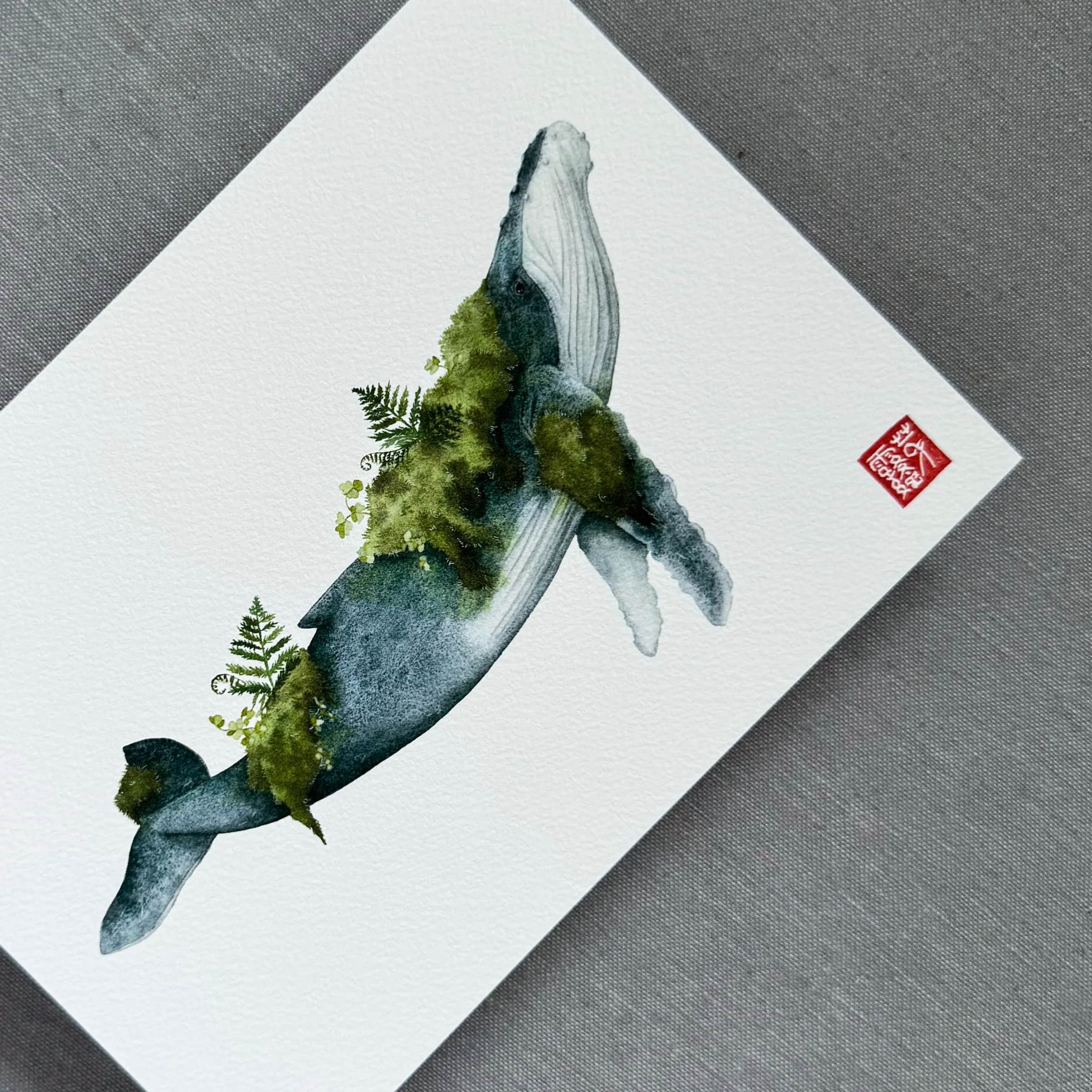 La Baleine sylvestre, foto 3