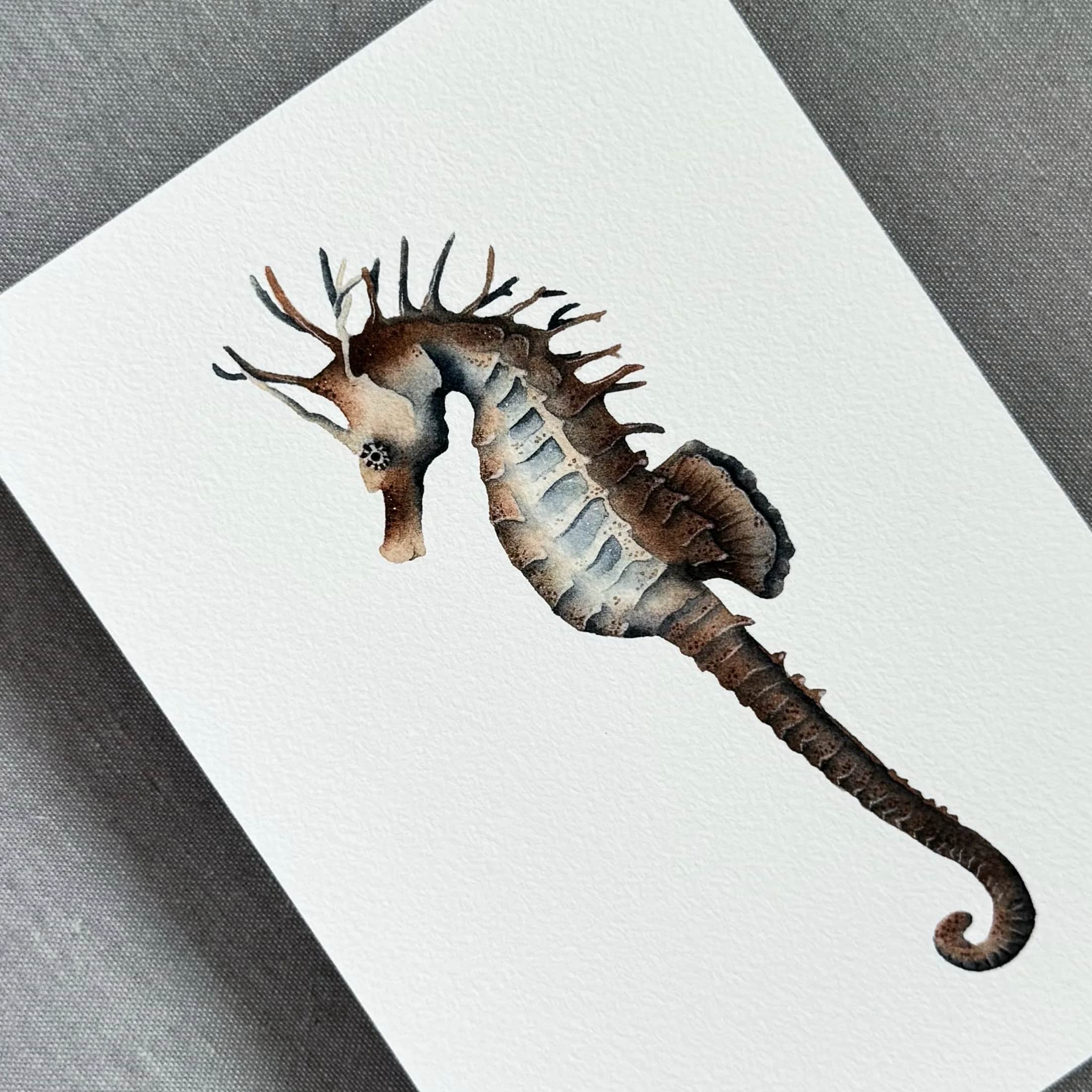 L'Hippocampe, Foto 3