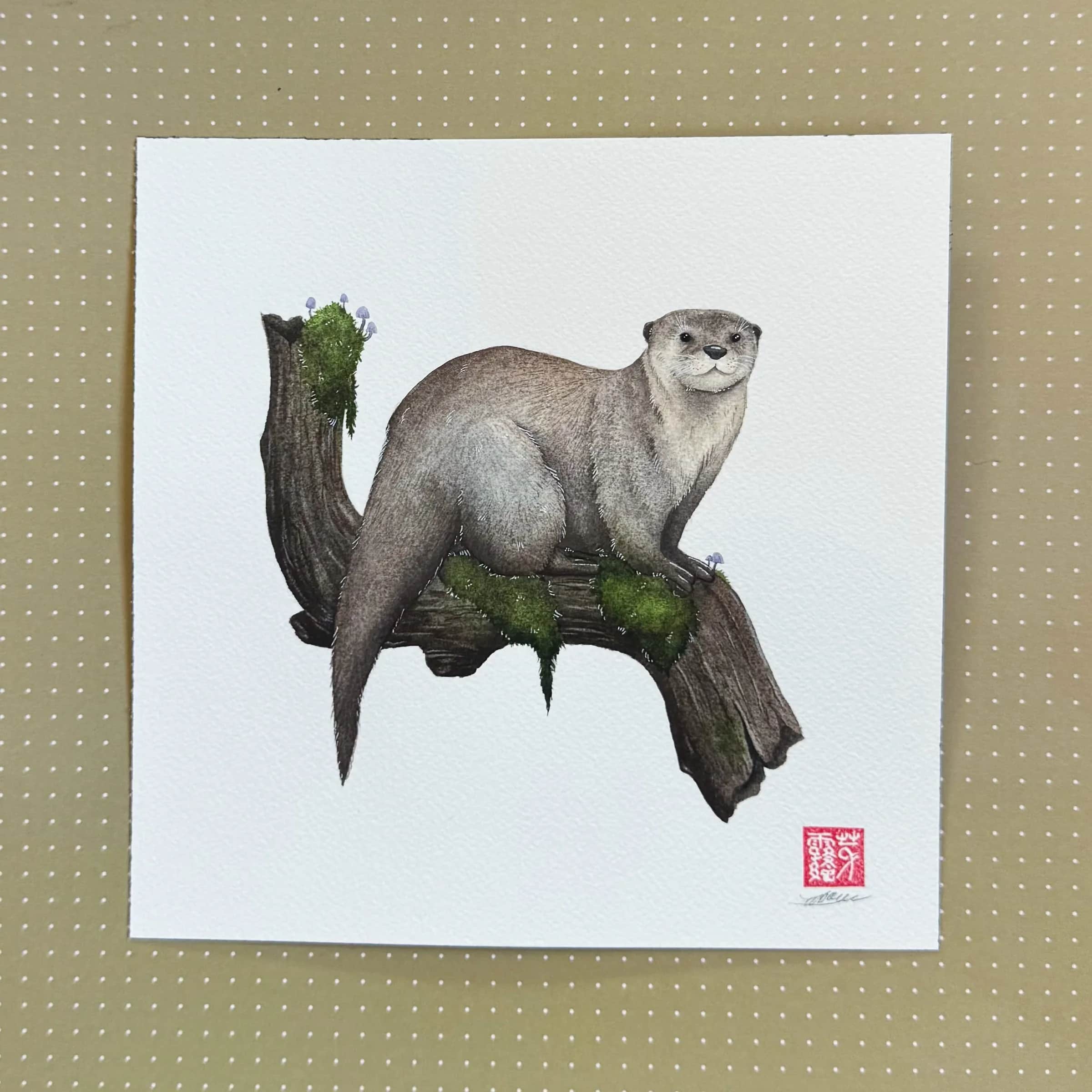 La Loutre d'Europe