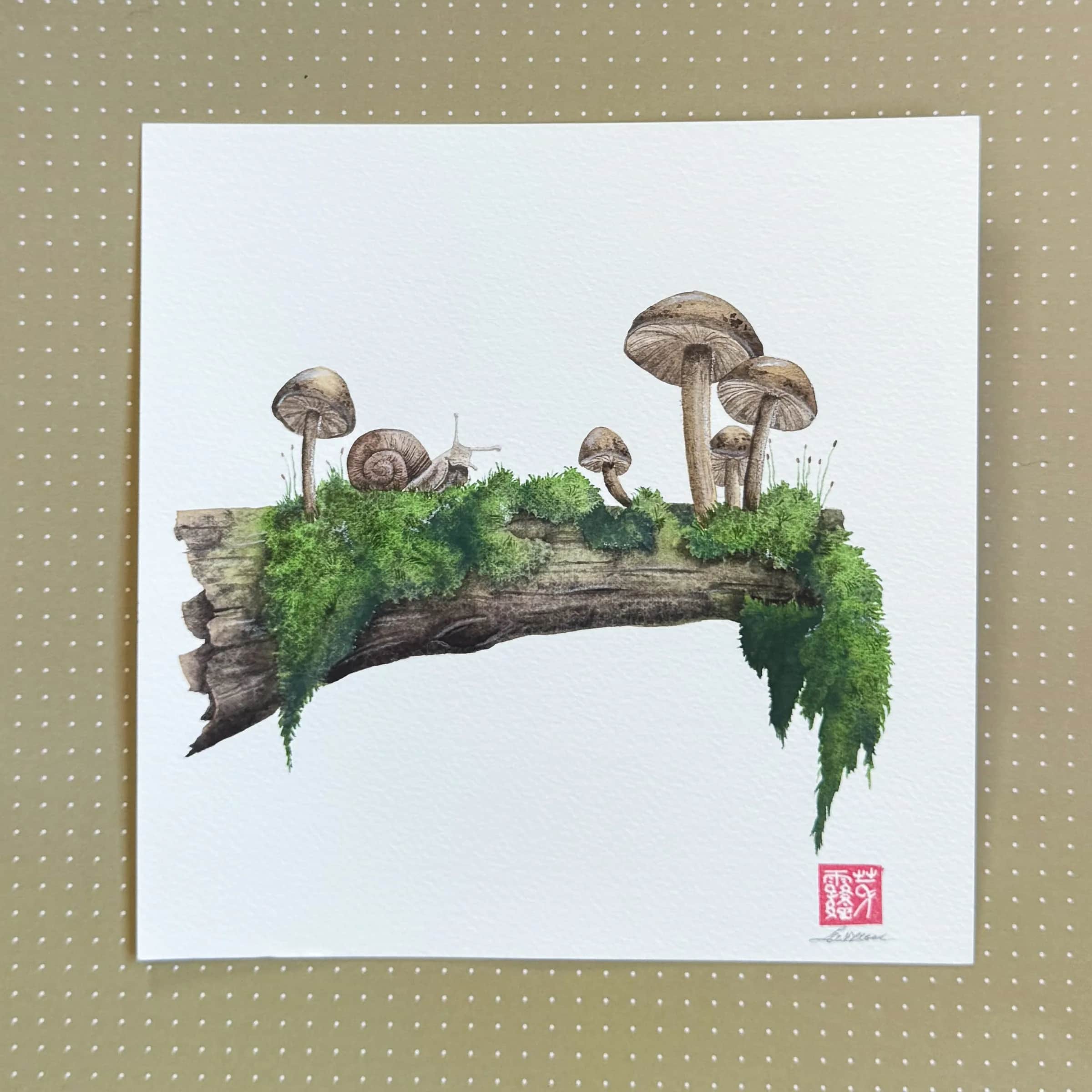 Branche, escargot et champignons