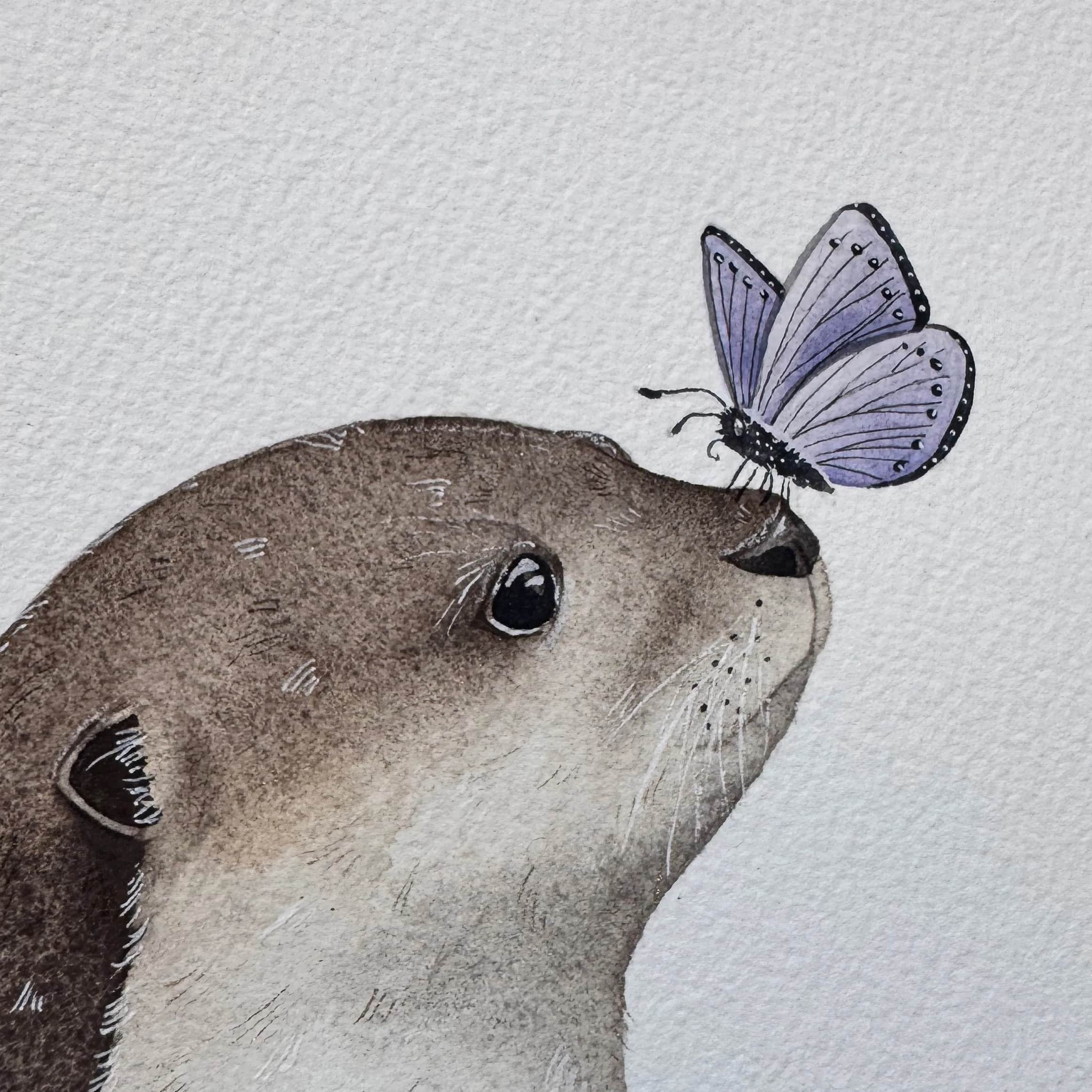 La Loutre et le papillon, photo 2
