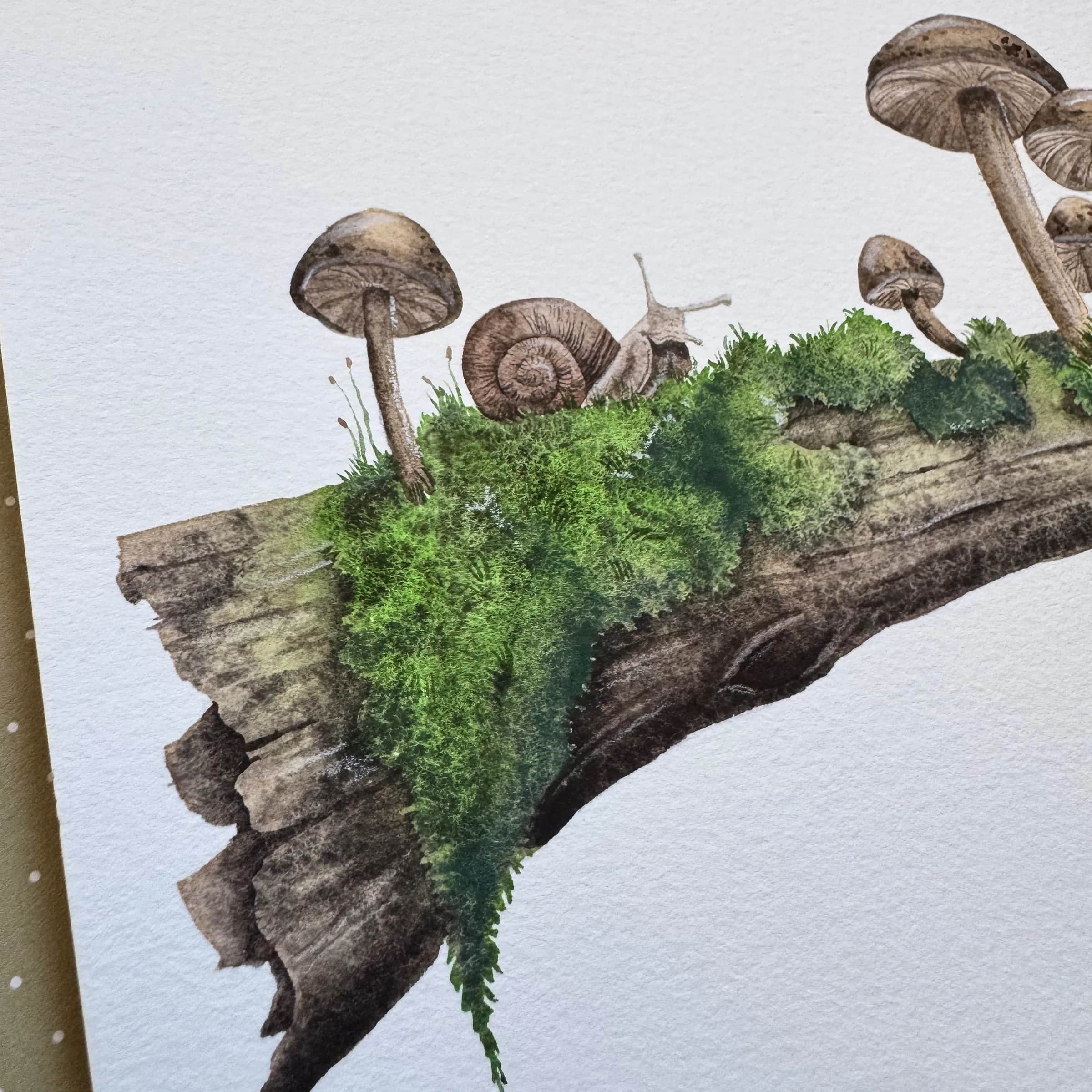 Branche, escargot et champignons, photo 2