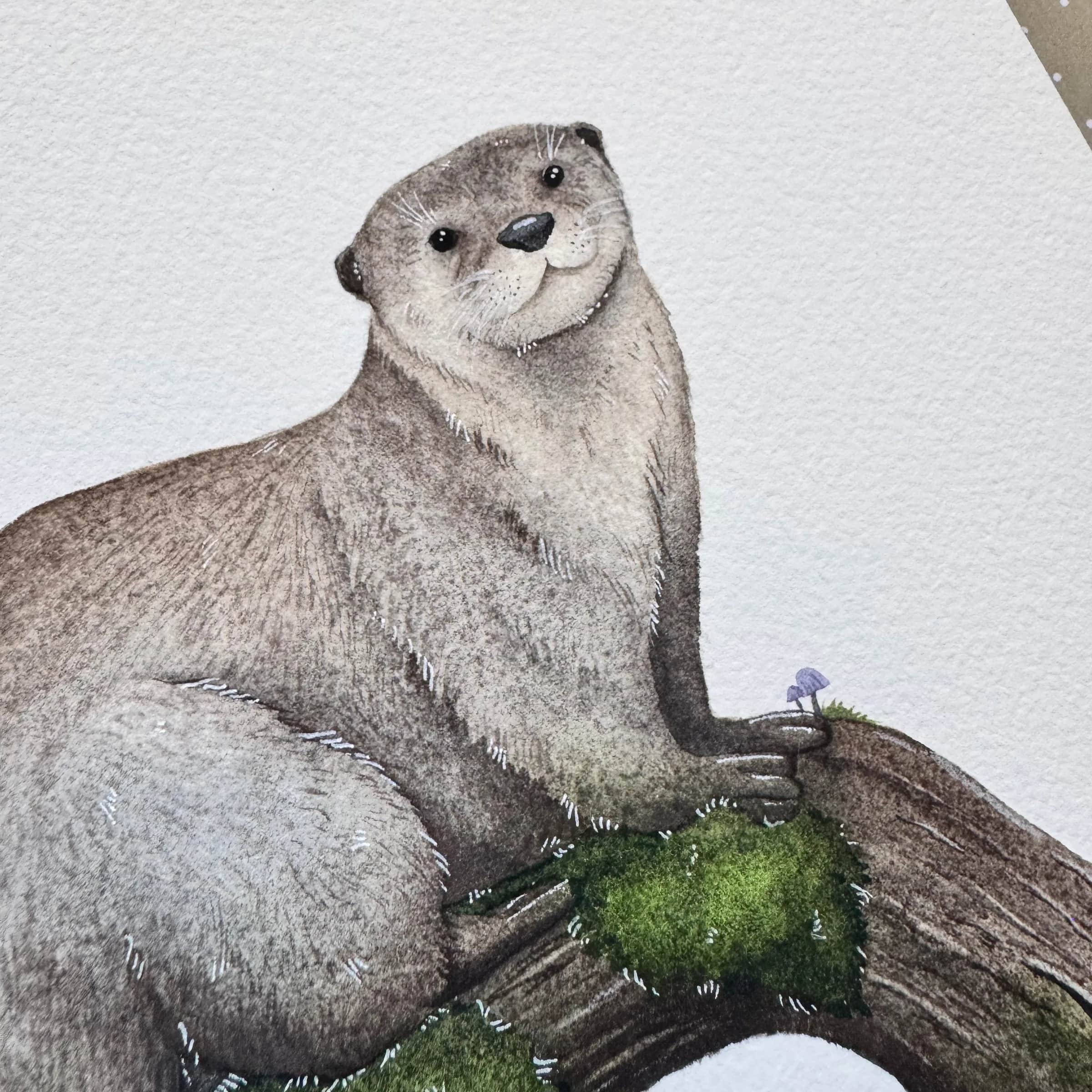 La Loutre d'Europe, Foto 2