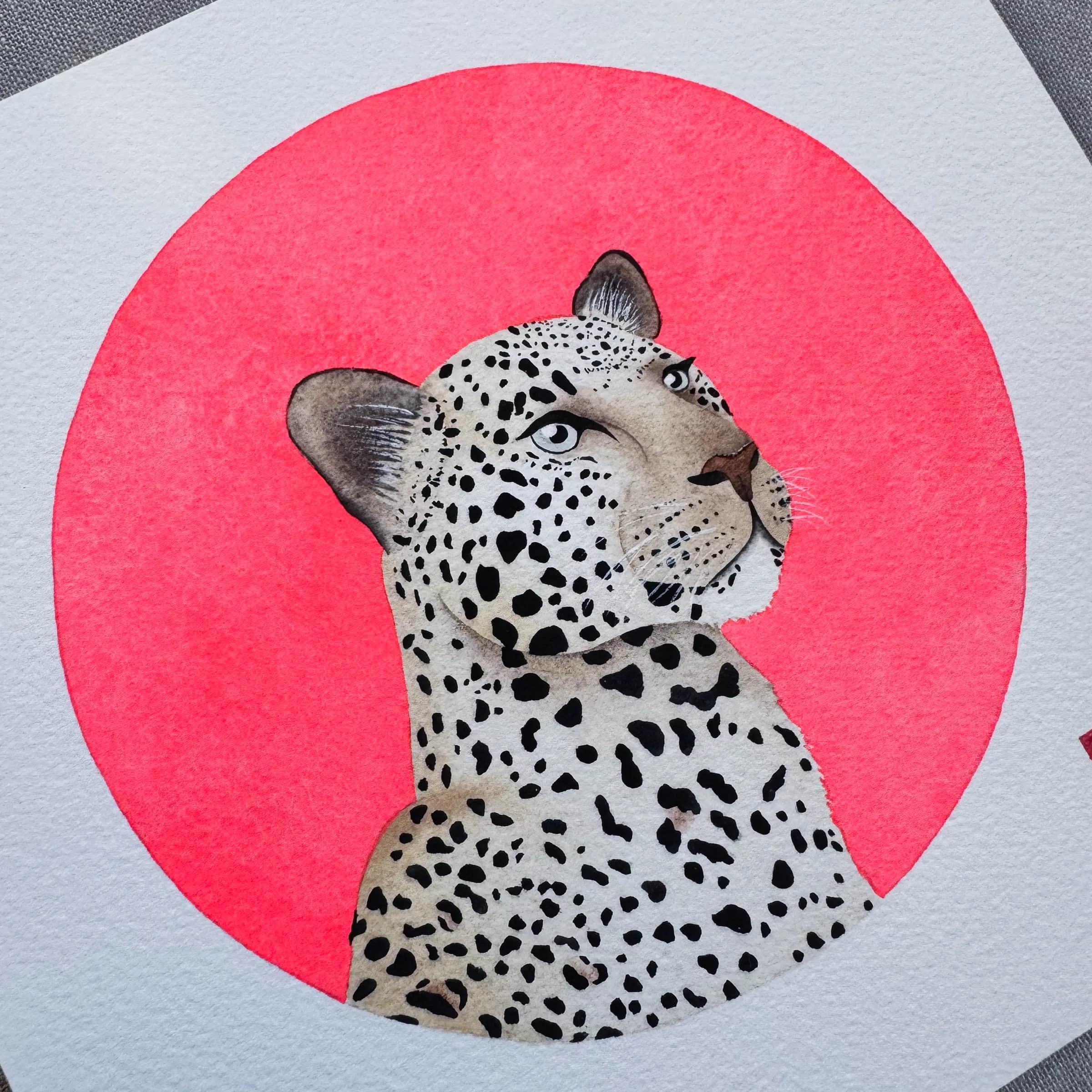 Pop Leopard, photo 2