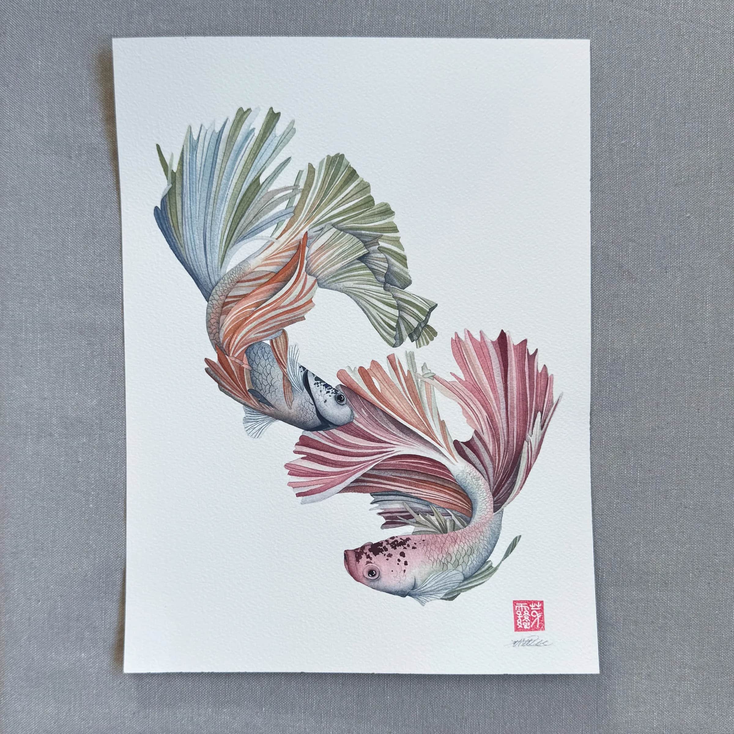 The Dance of the Fighting Fish, photo 1