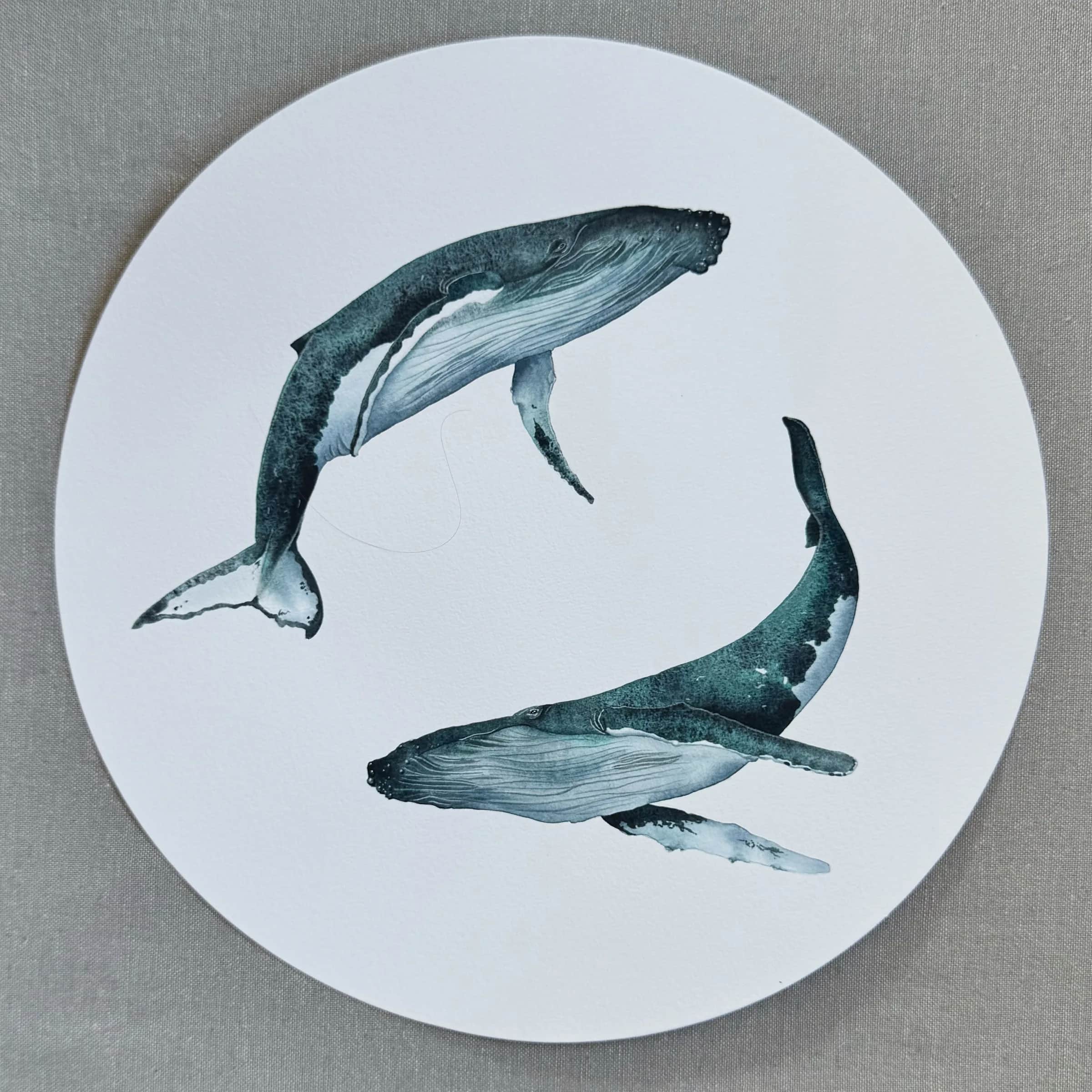 Le Cercle de baleines, foto 1