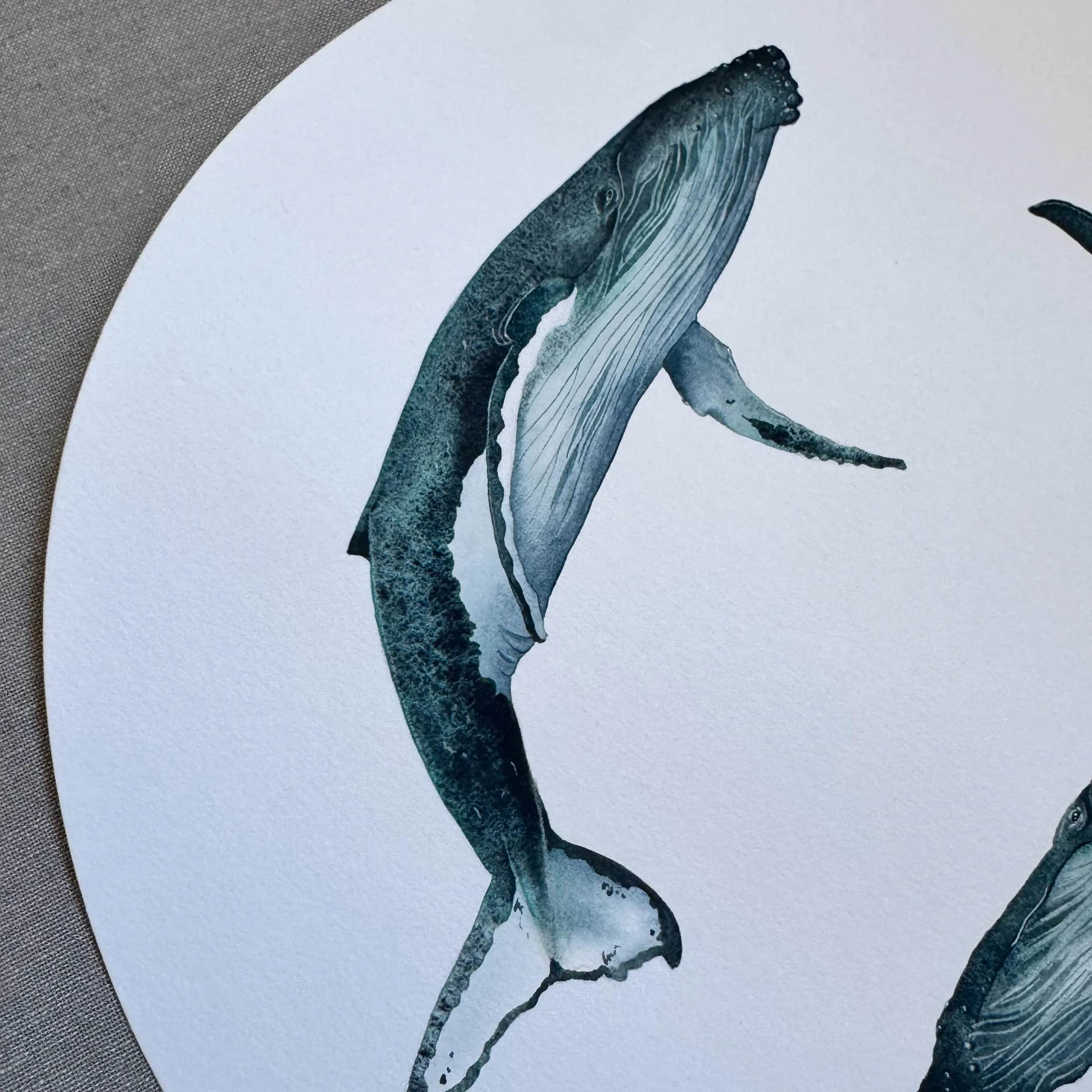 Le Cercle de baleines, foto 2