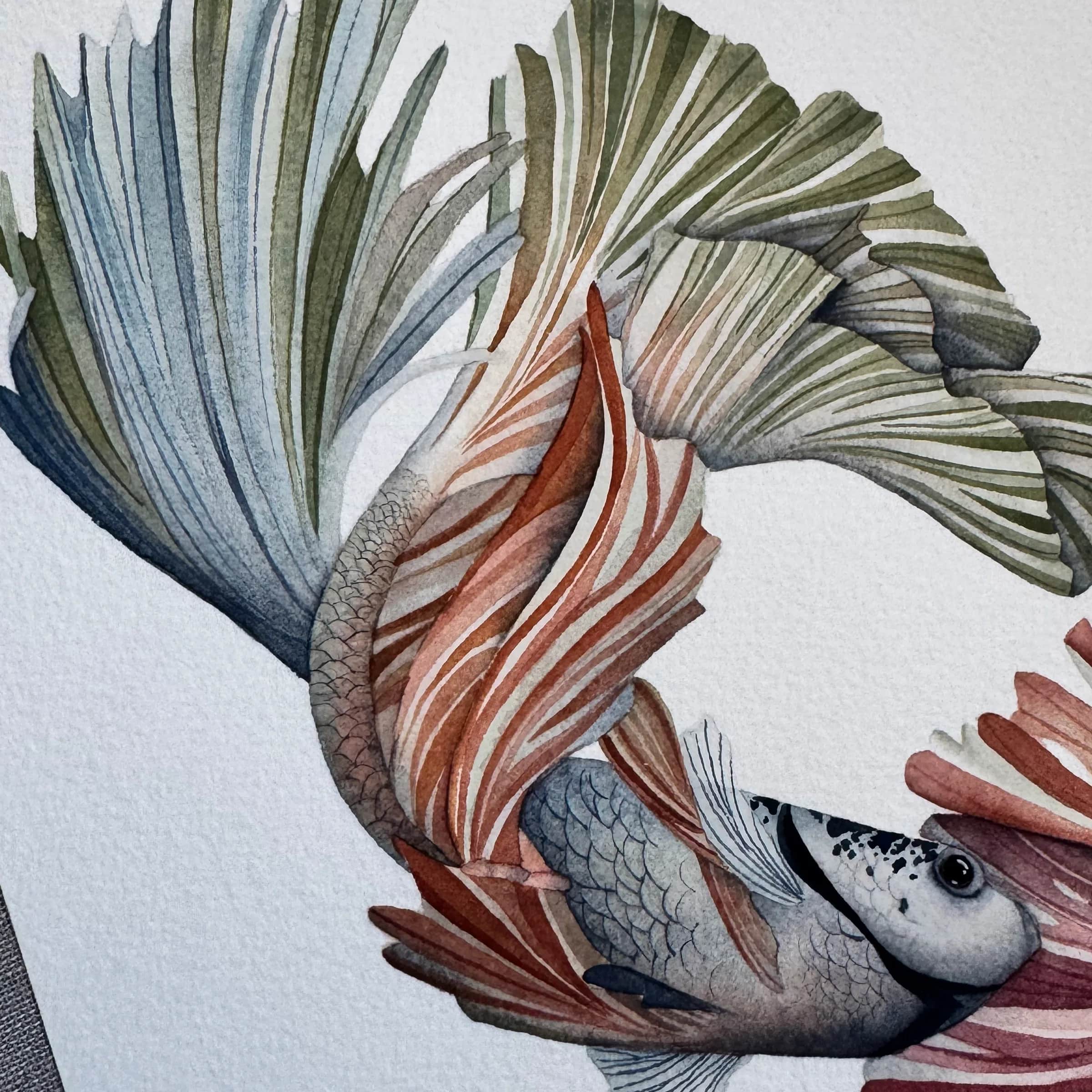 The Dance of the Fighting Fish, photo 2